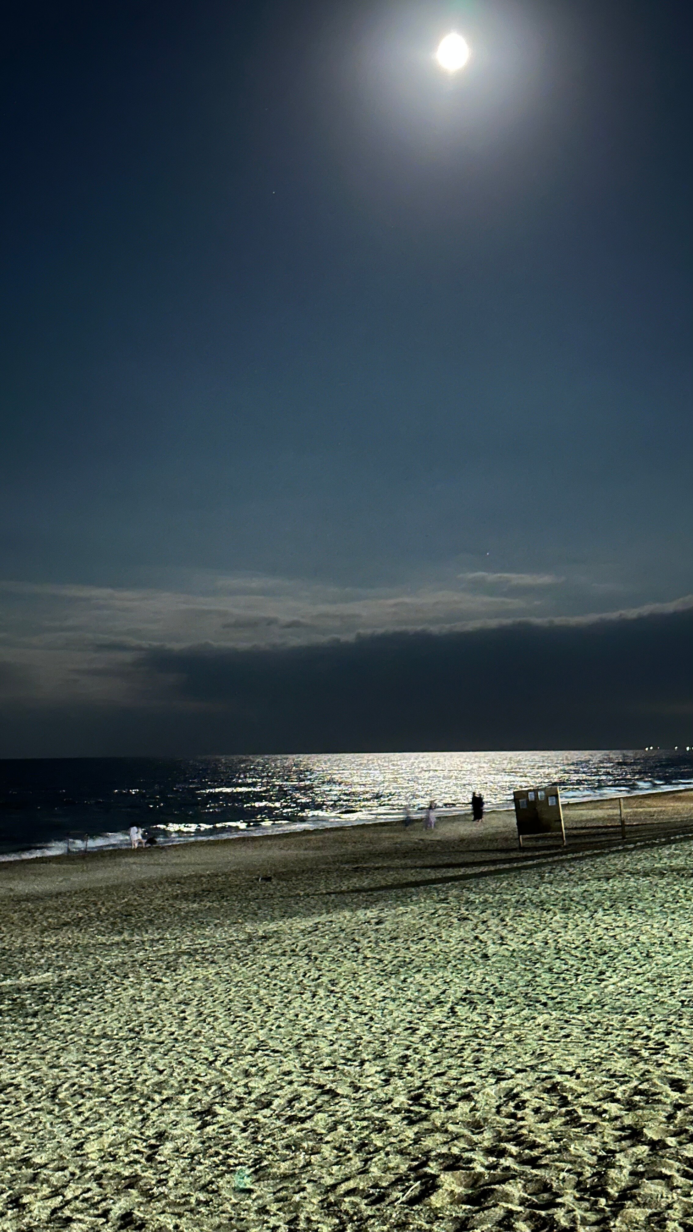 Фото Villa Voyage