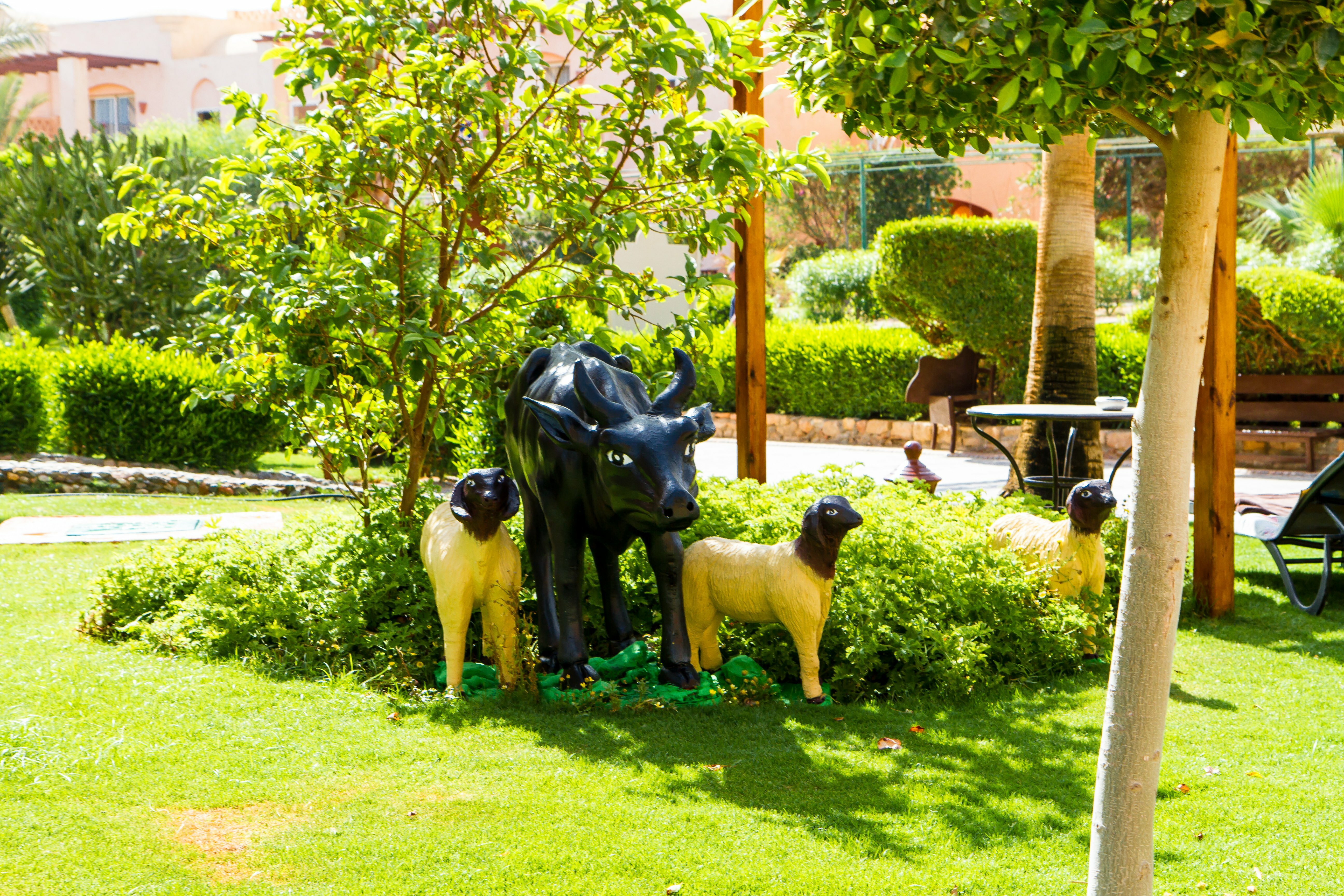 Фото Джаз Макадина