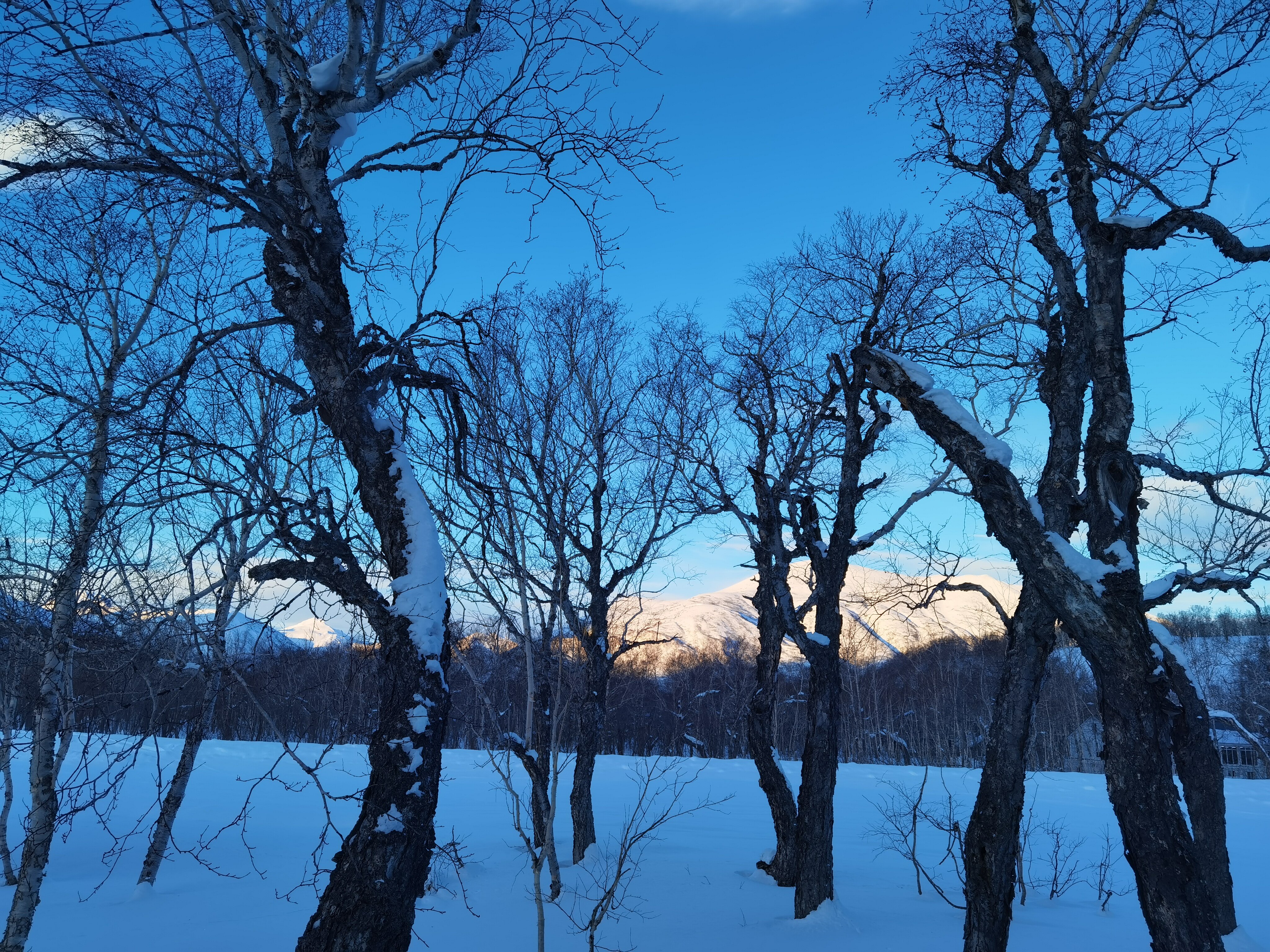 Фото Камчатка Форест Лодж