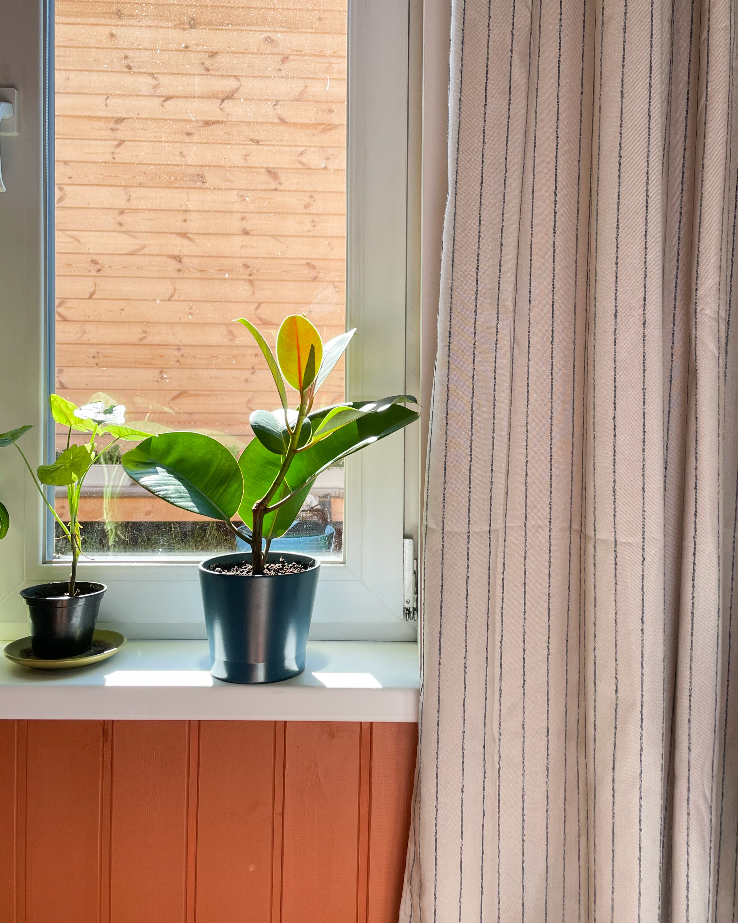 Фото Baikal soul