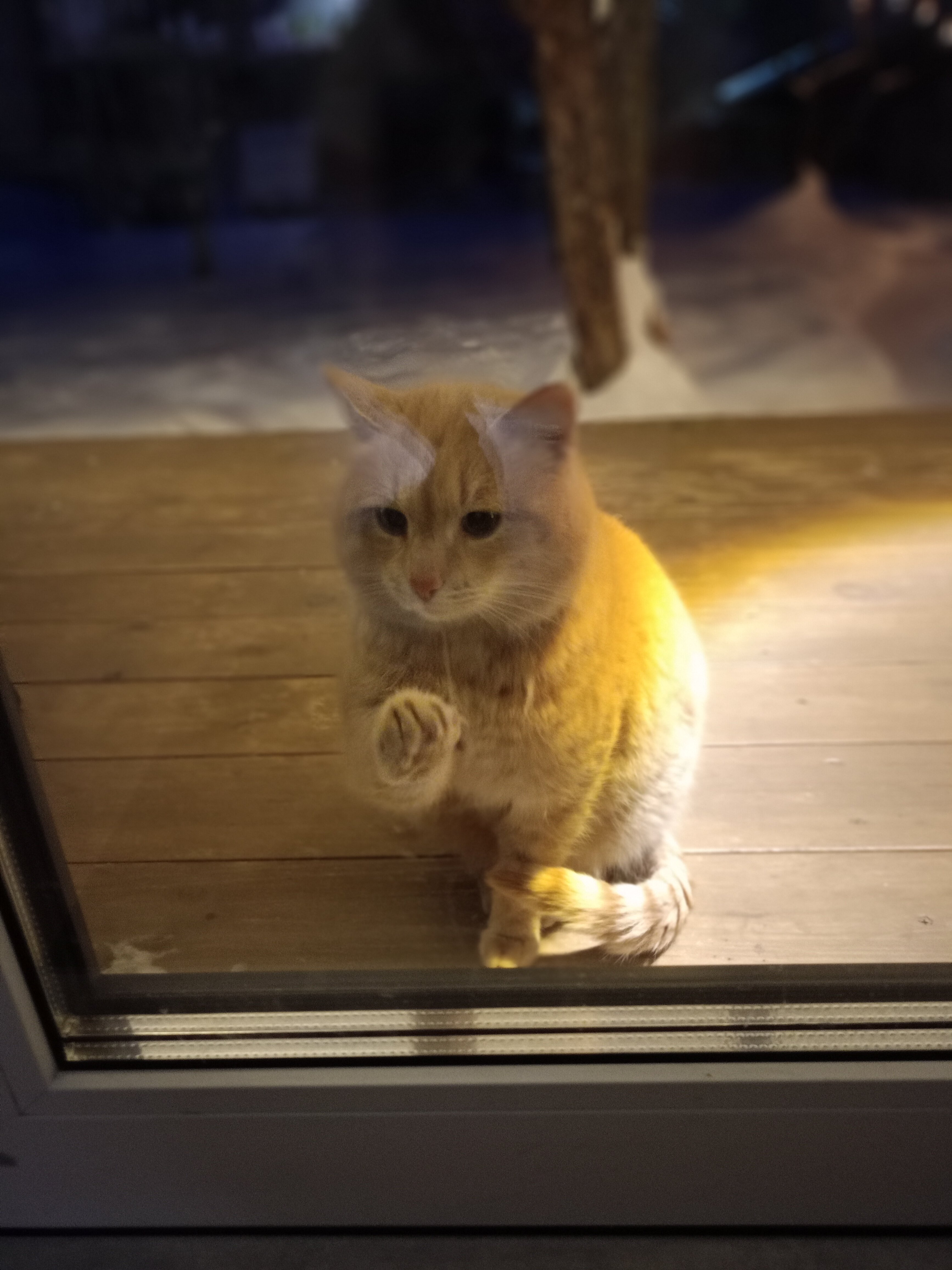 Фото Резорт энд спать