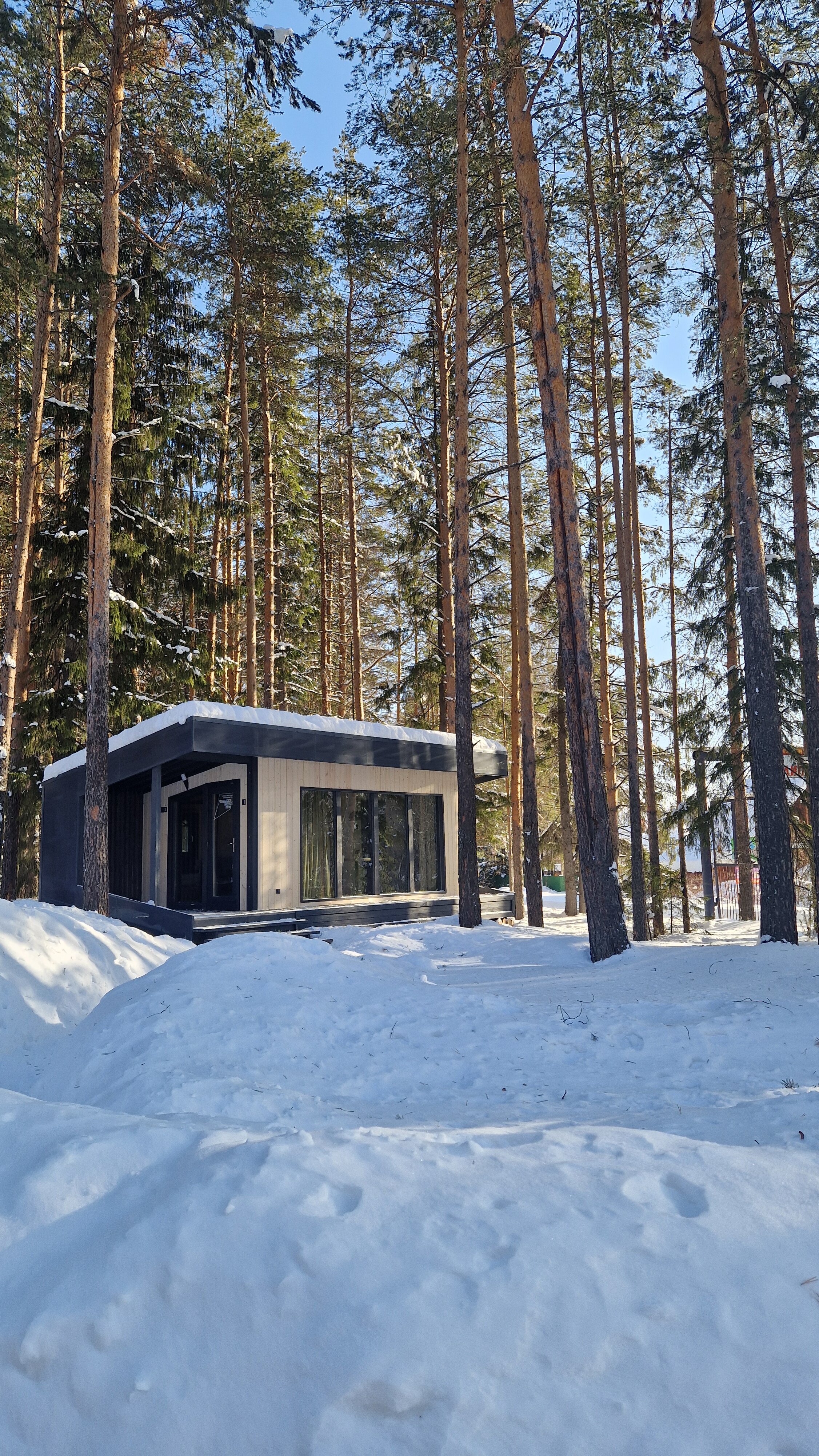 Фото Липкиглэмп