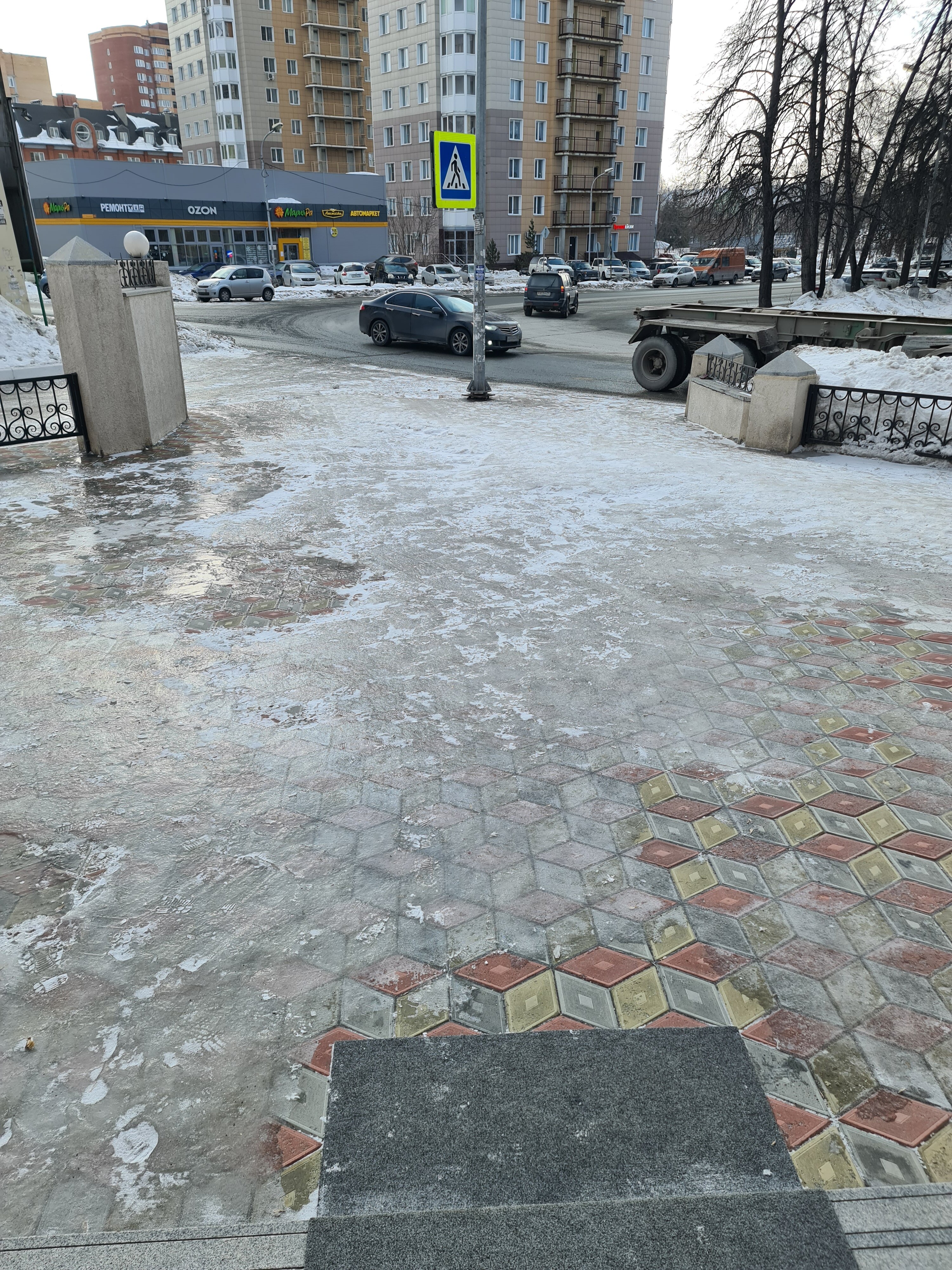 Фото Барракуда