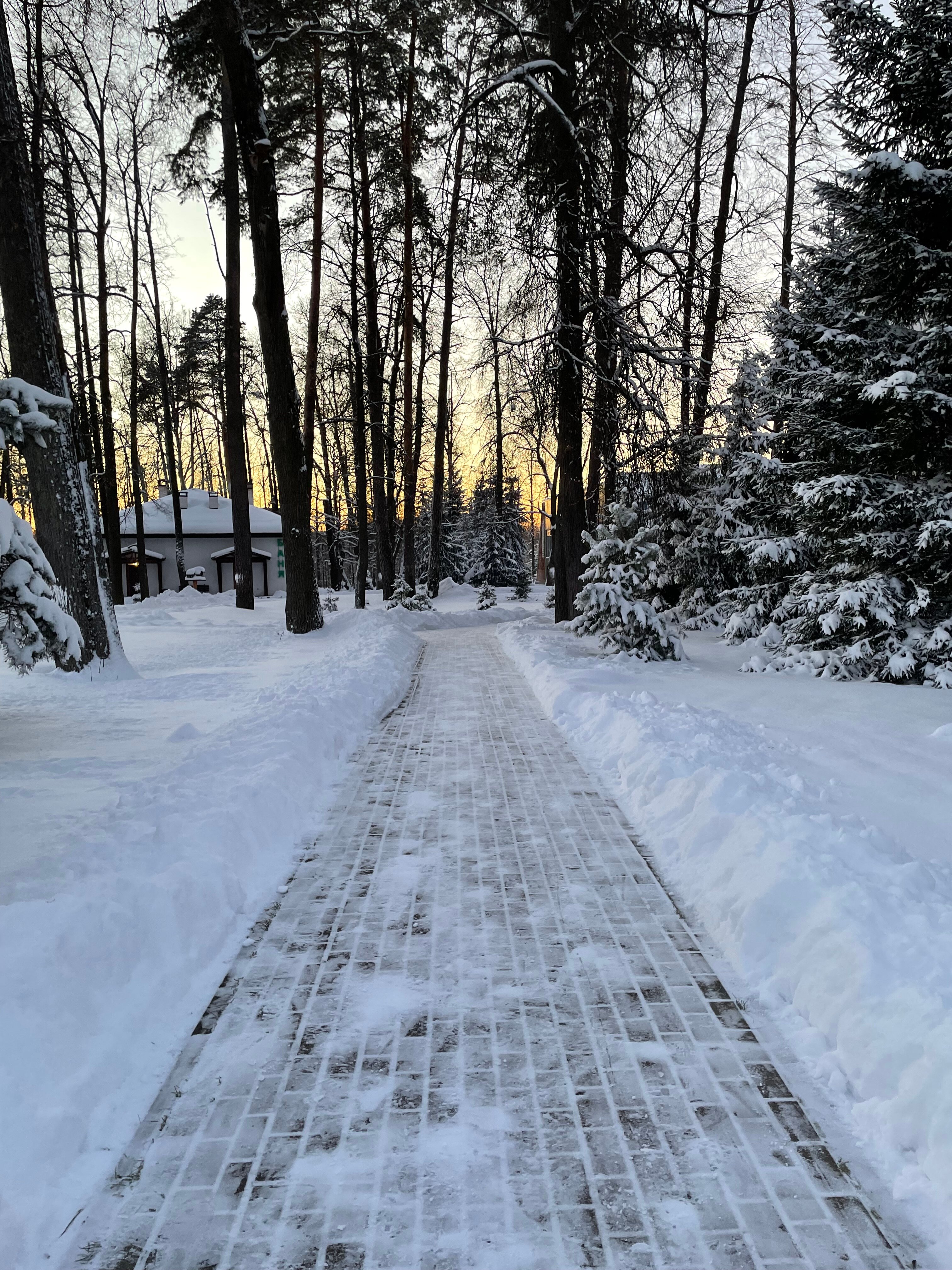 Фото Ясенки