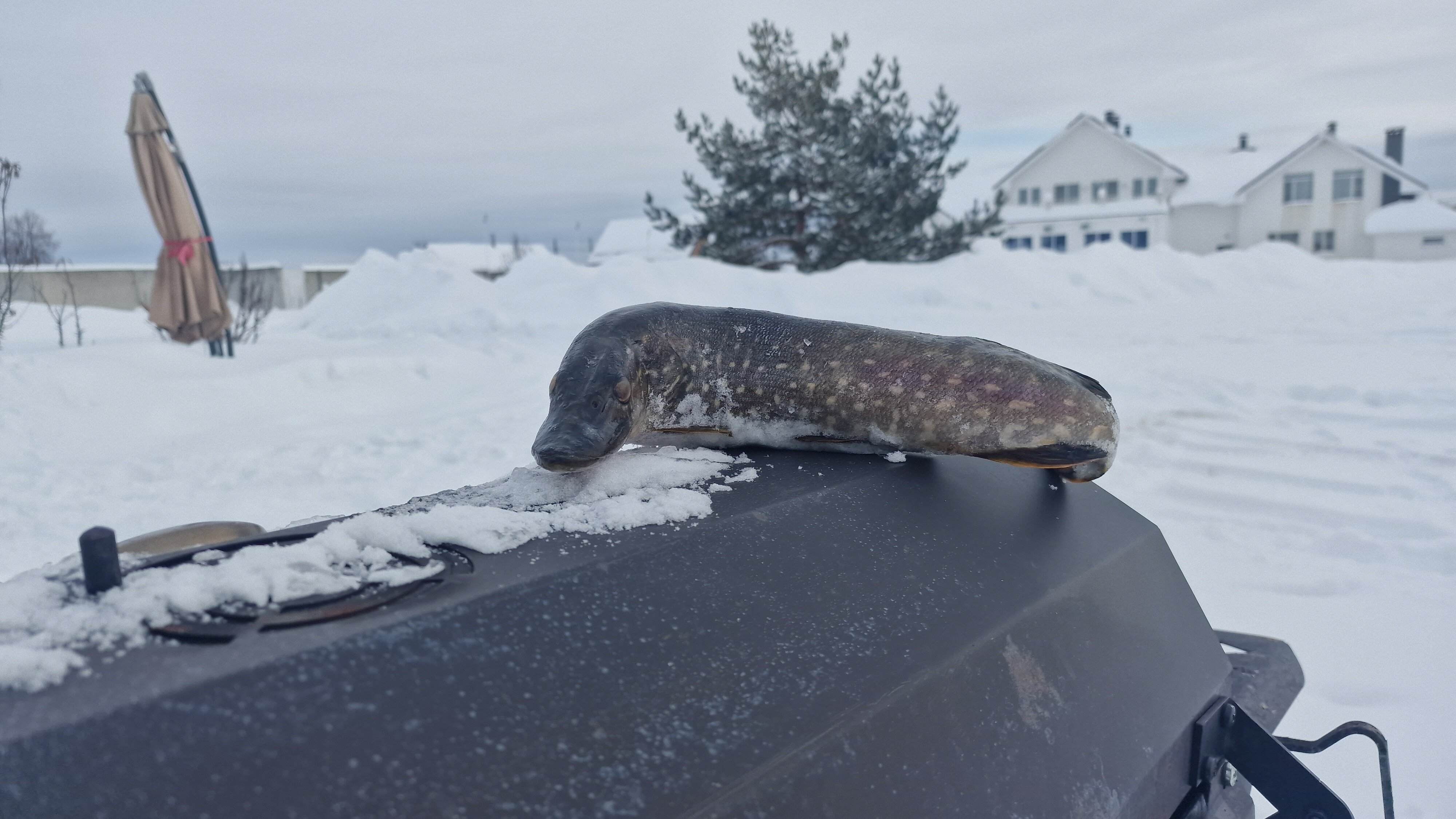 Фото Дом в Кузнецово