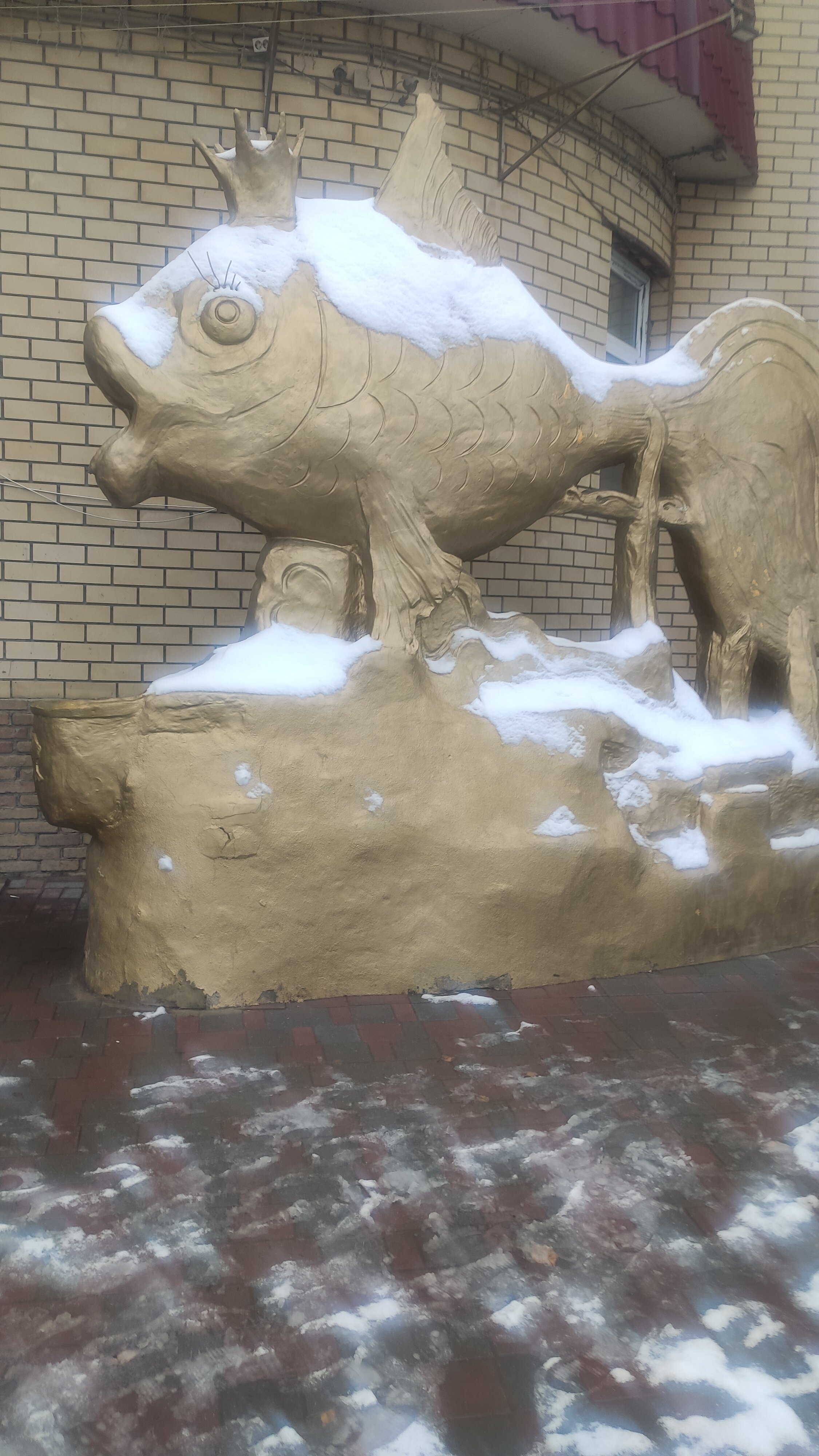 Фото Золотая рыбка