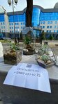 Crystalpots Флорариумы Кашпо (ул. Думенко, 19, микрорайон Юбилейный), производственное предприятие в Краснодаре