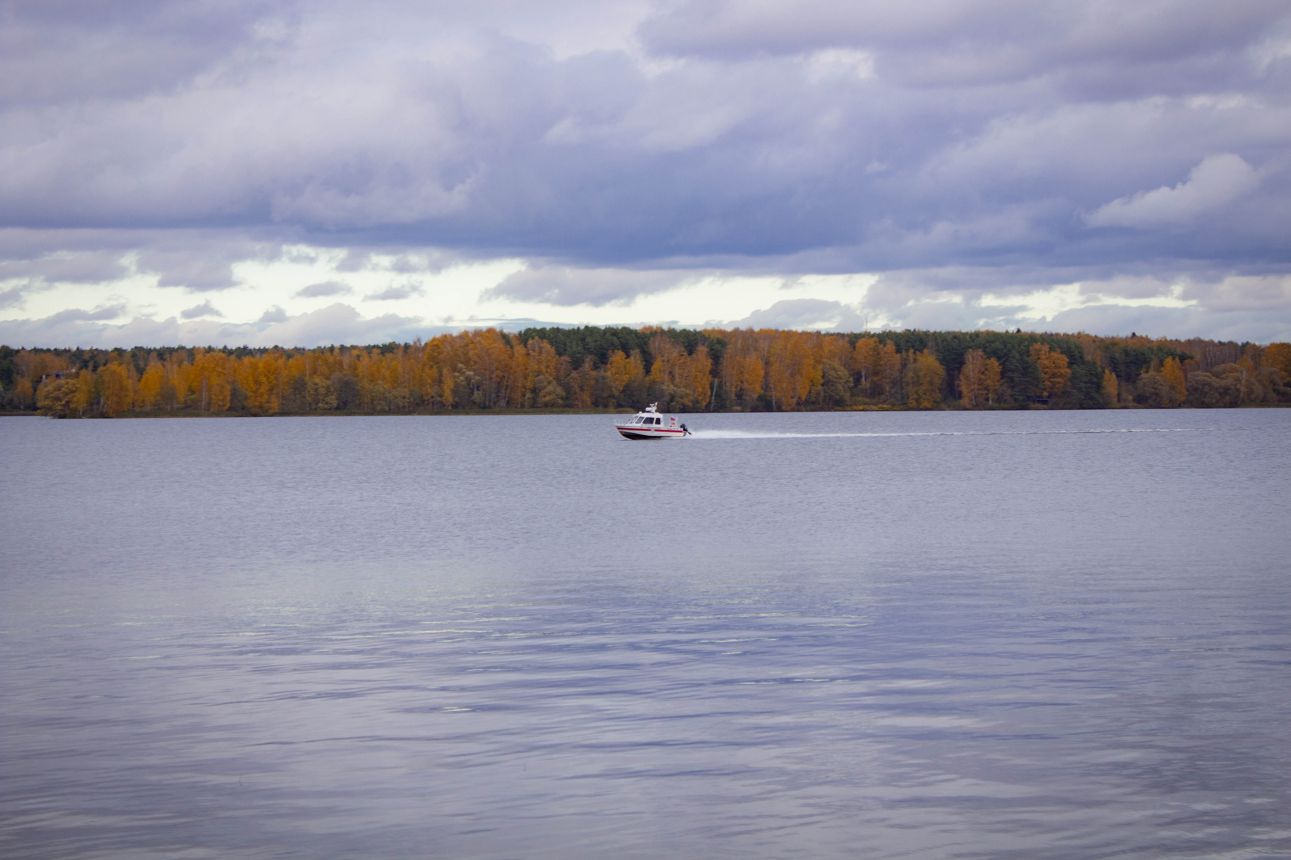 Фото Новый Берег