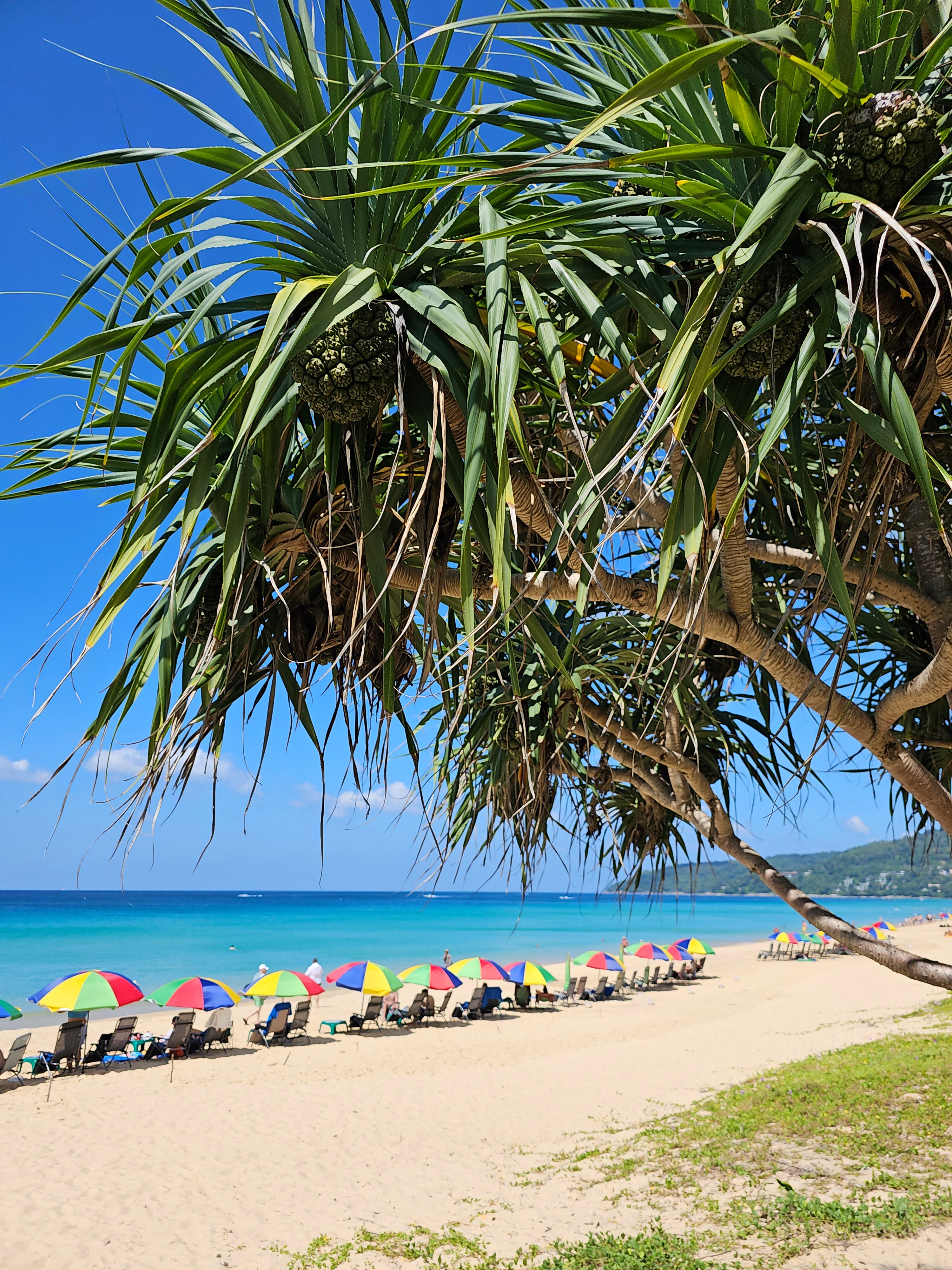 Фото Pullman Phuket Karon Beach Resort
