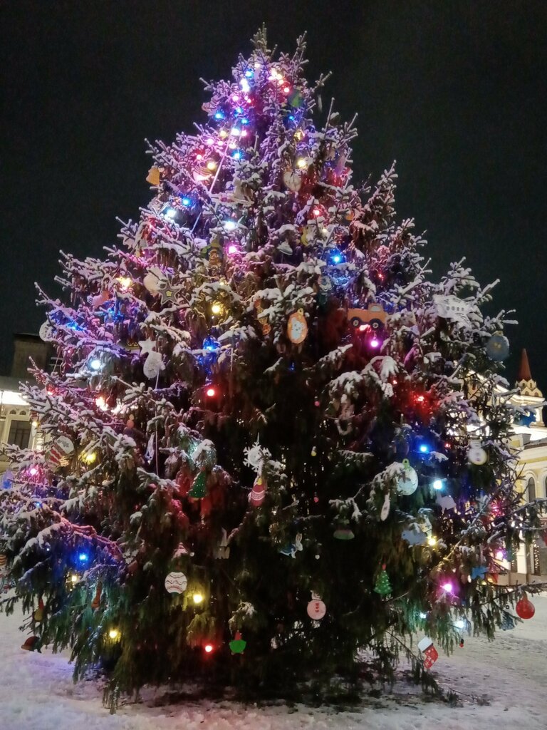 City tree Christmas tree, Rybinsk, photo