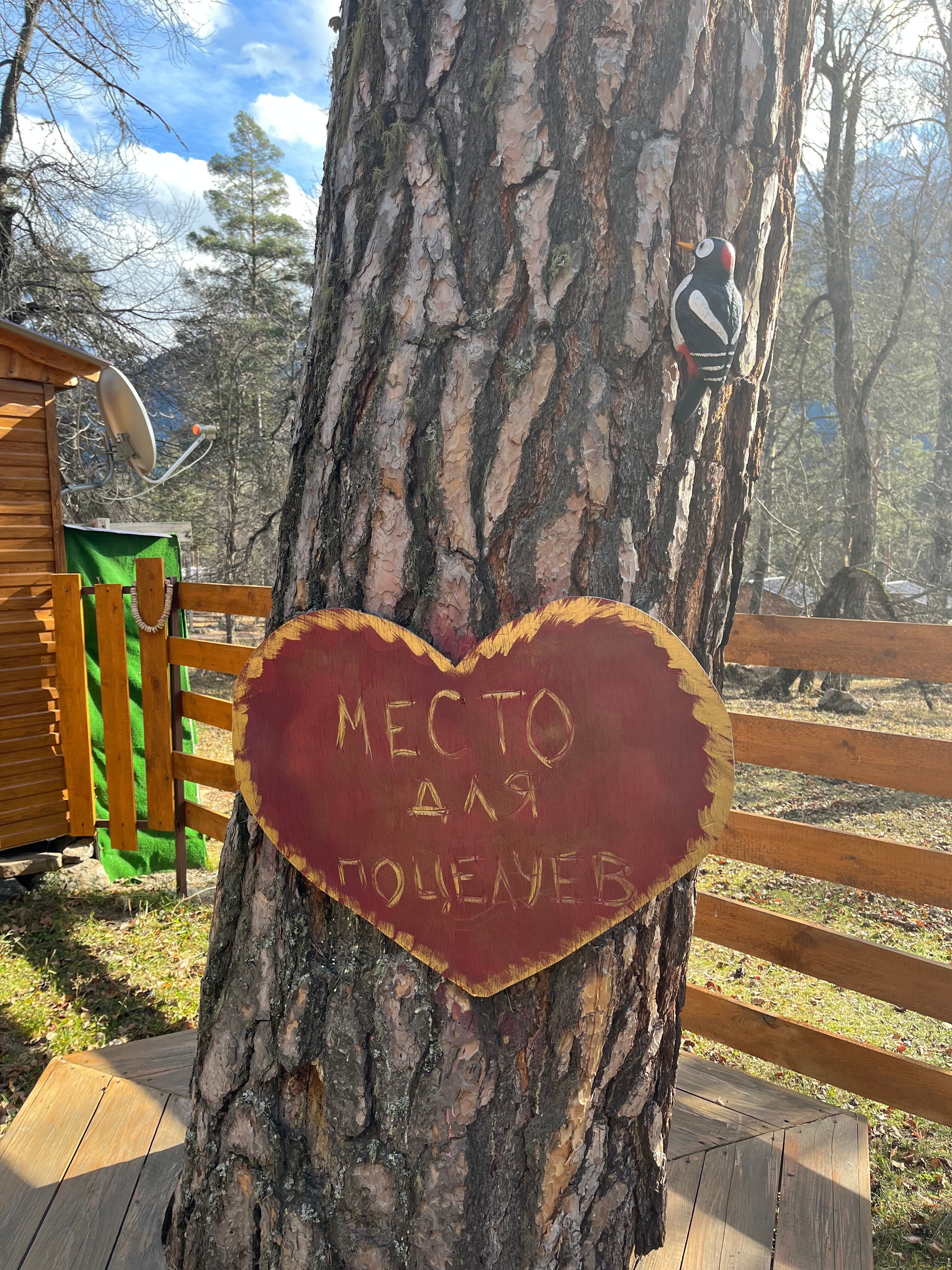 Фото Тайга House