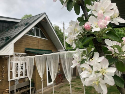 Апартаменты Теремок в Пушкино