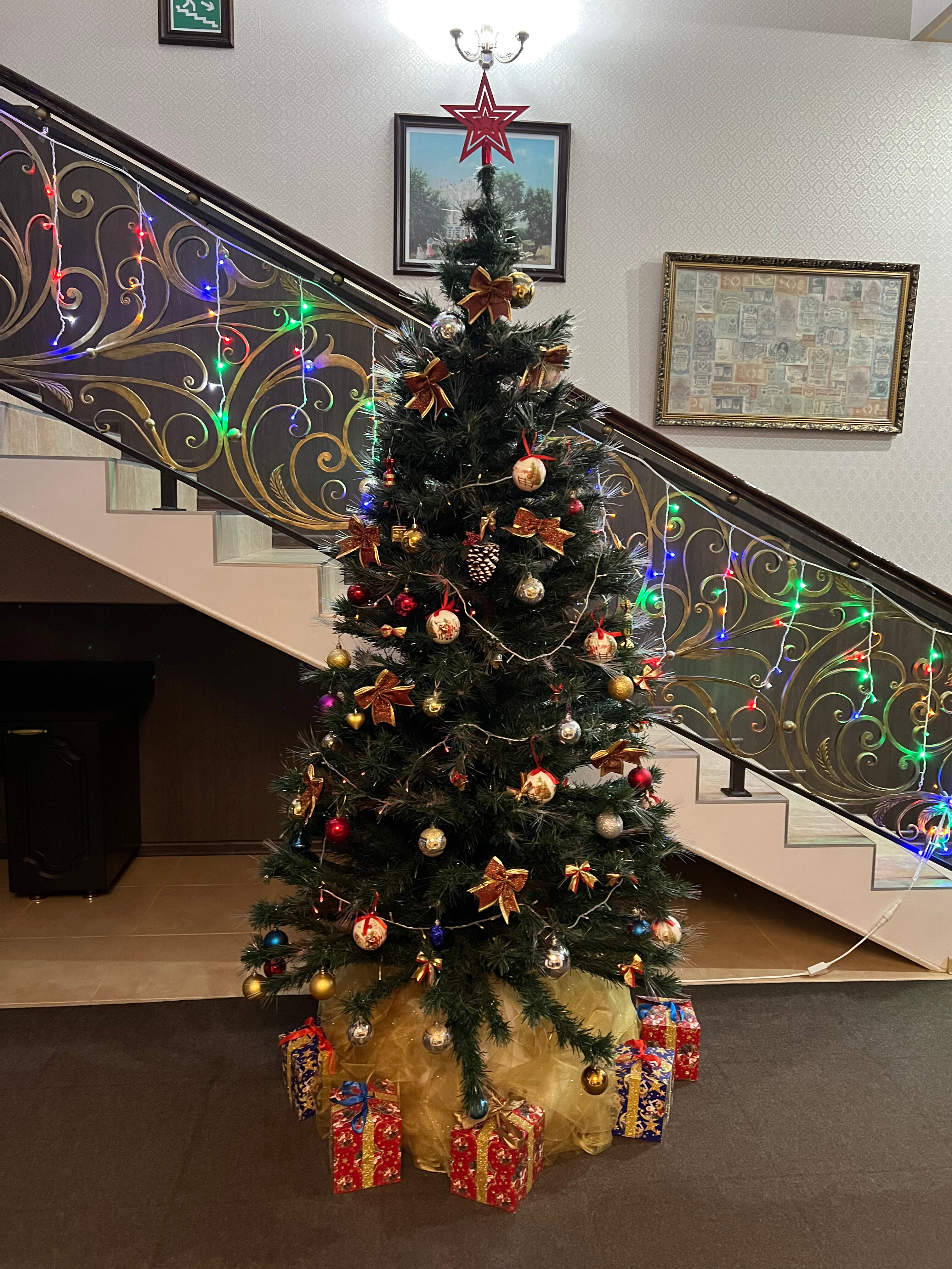 Фото Елизавета