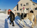 Крейзи-Пони (Планировочная ул., 31, Сормовский район, Комсомольский посёлок), конный клуб в Нижнем Новгороде