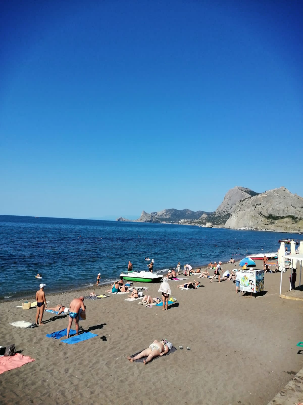 Фото Воробьиное гнездо