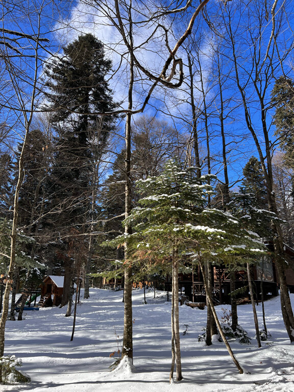 Фото Виктория