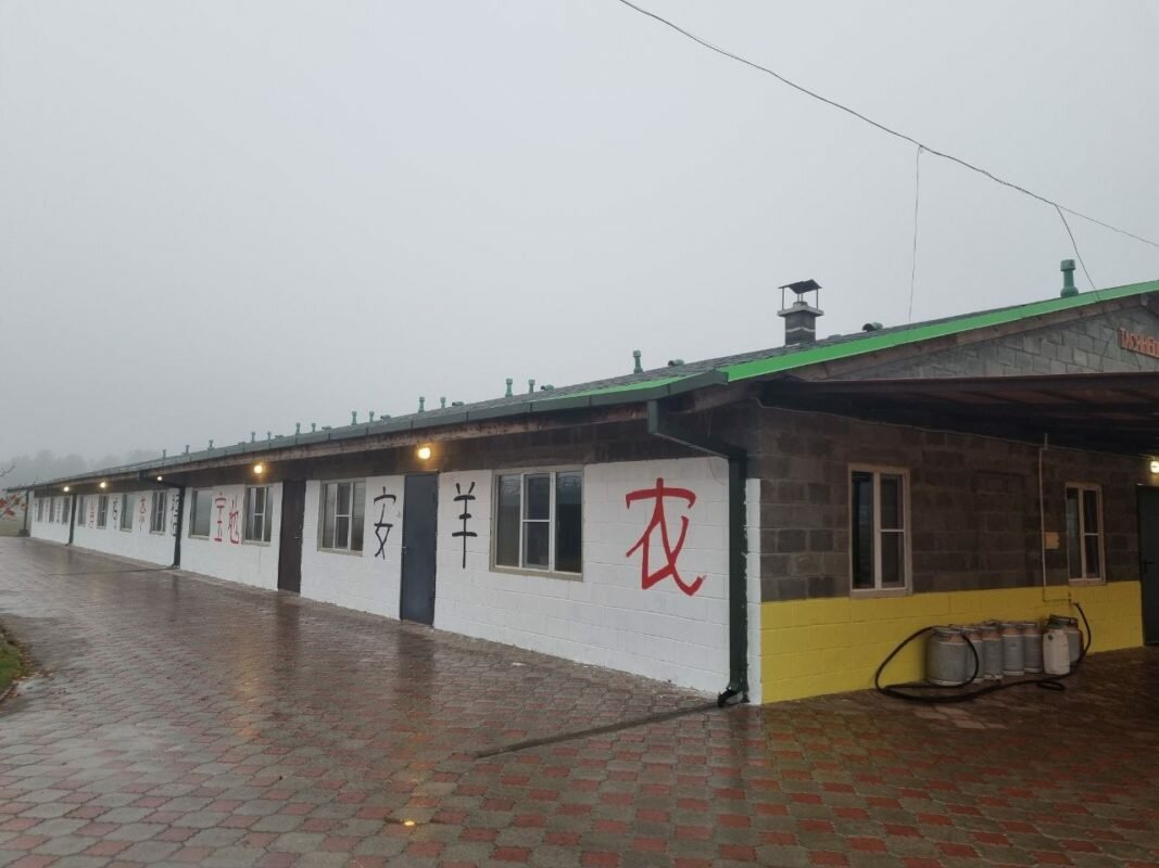 Фото Tasin-Bor Farm