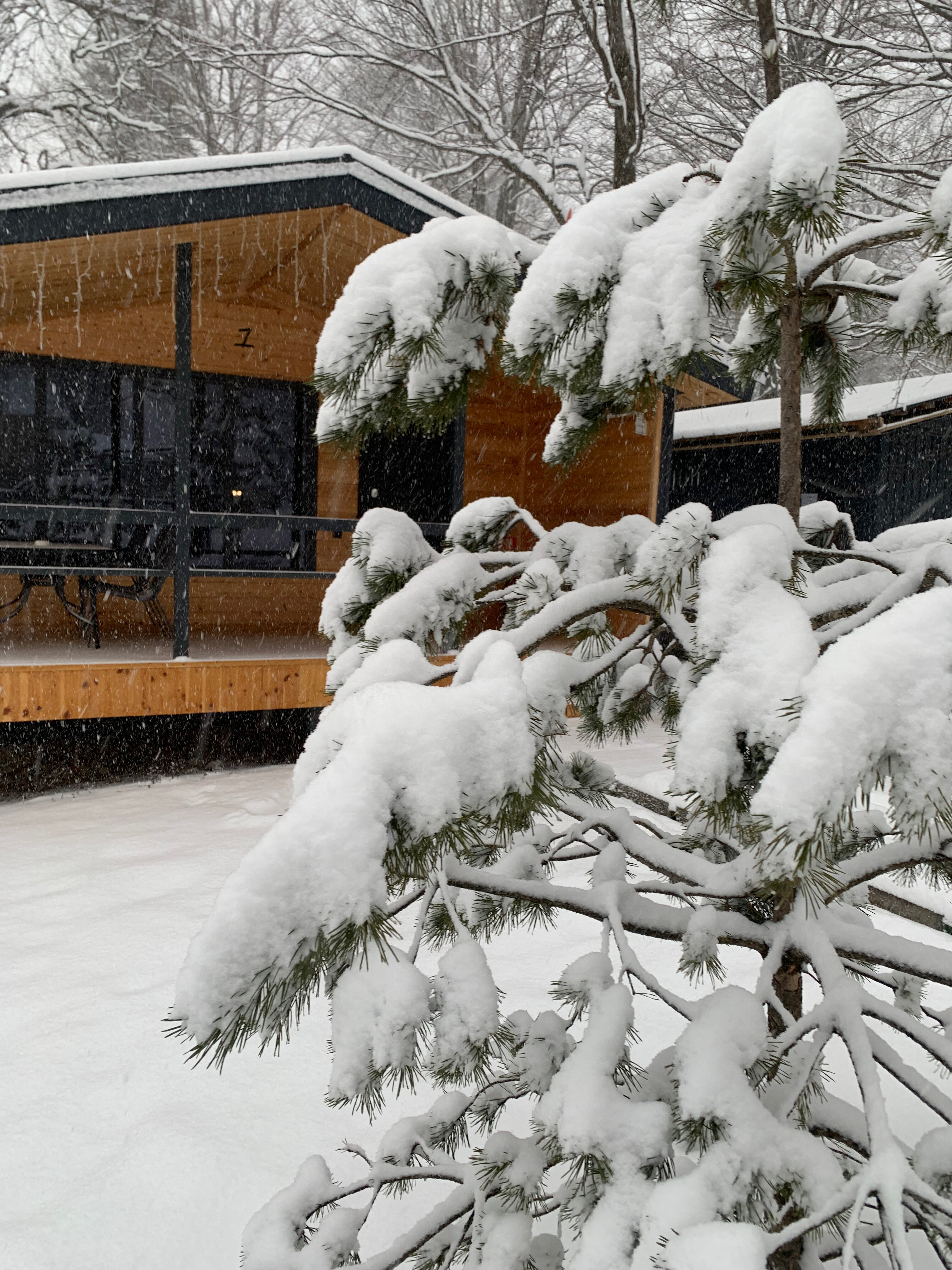 Фото ЗимаЛето