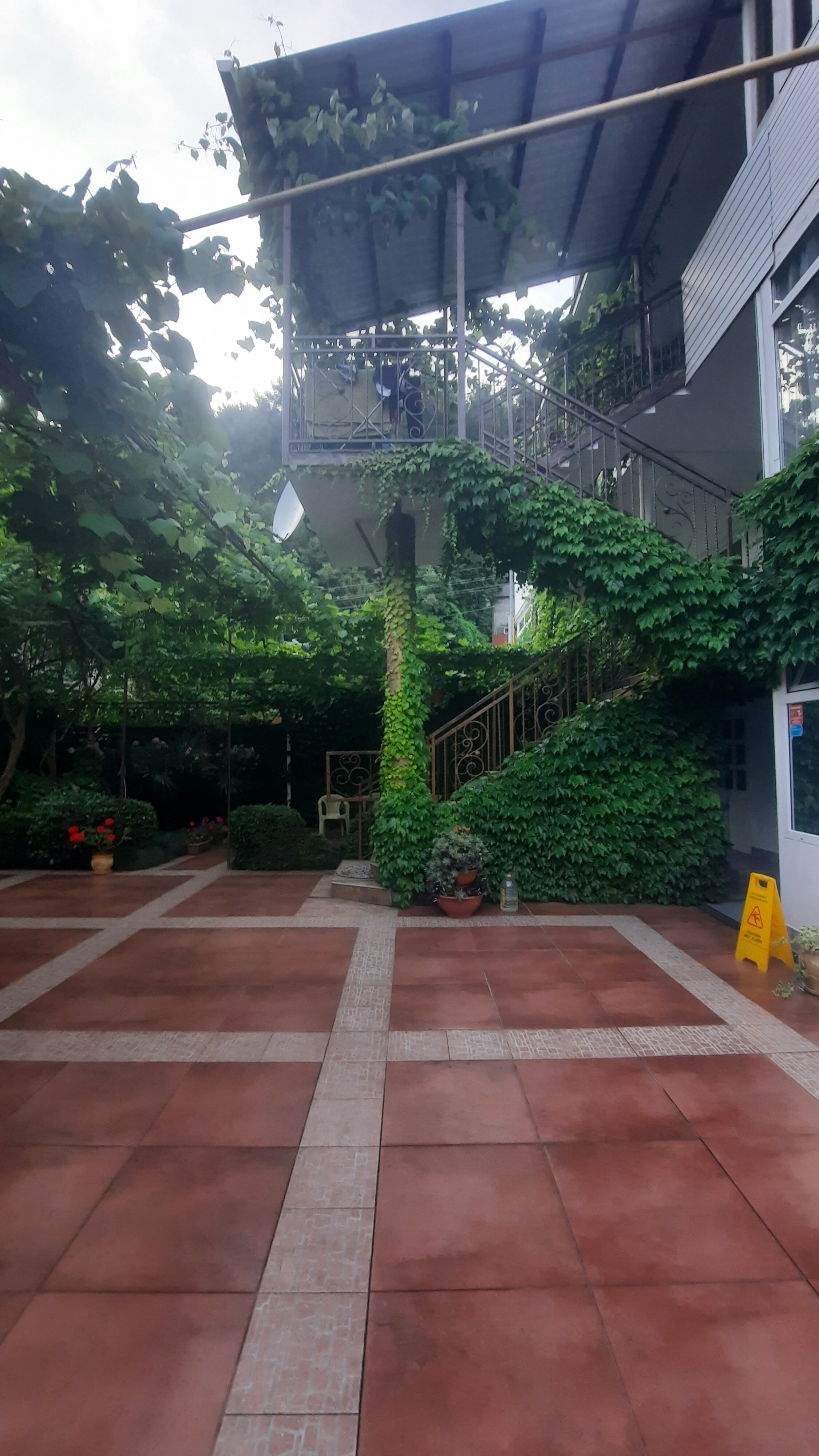 Фото Солоники