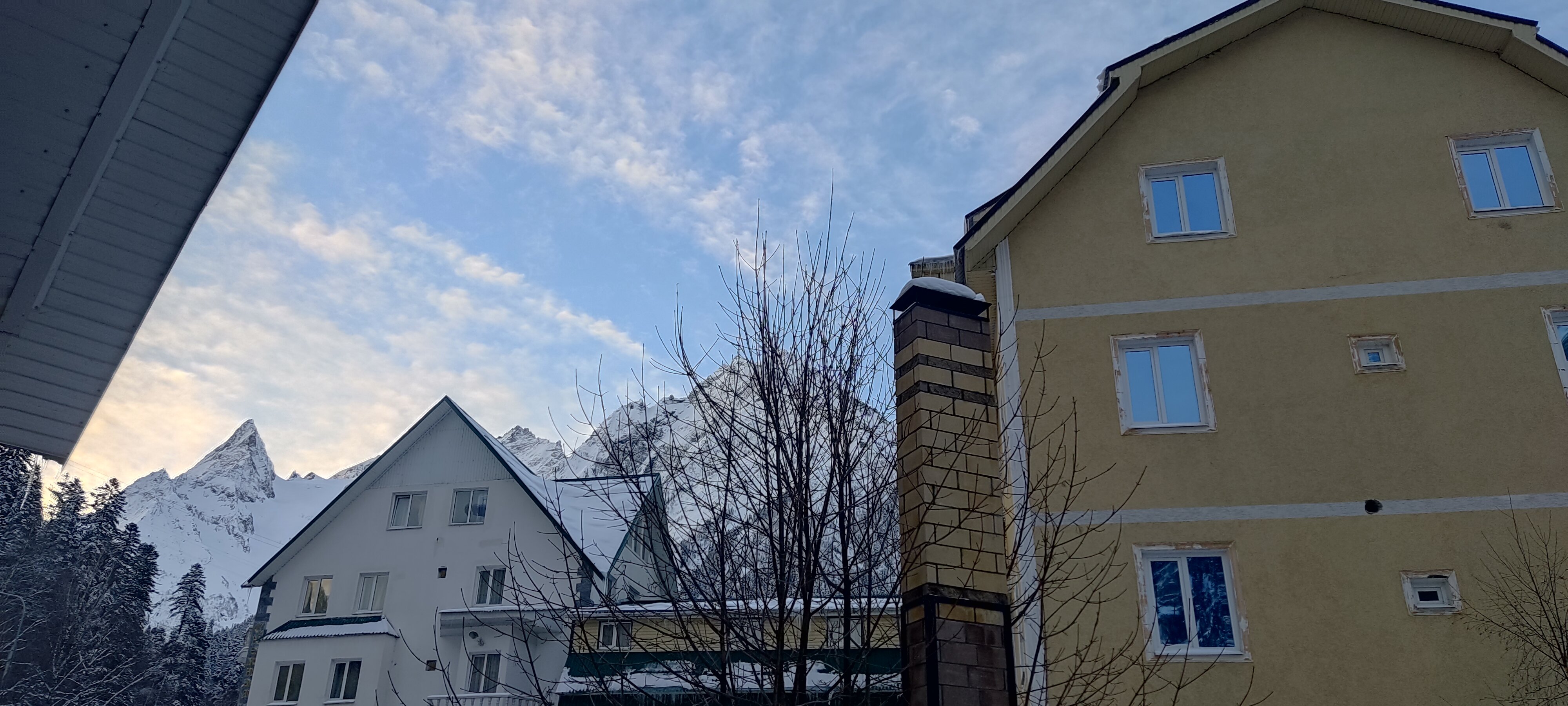 Фото Старый Клён