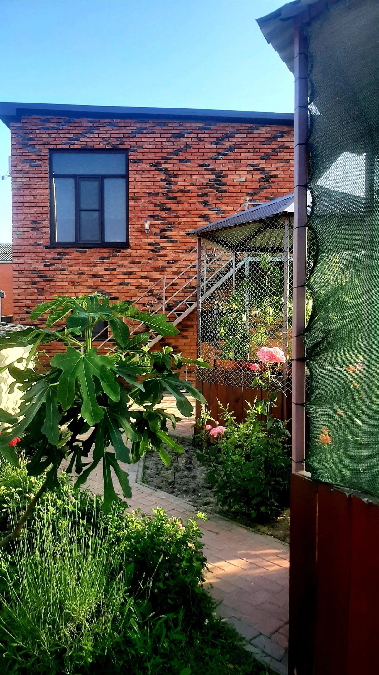 Фото Прованс