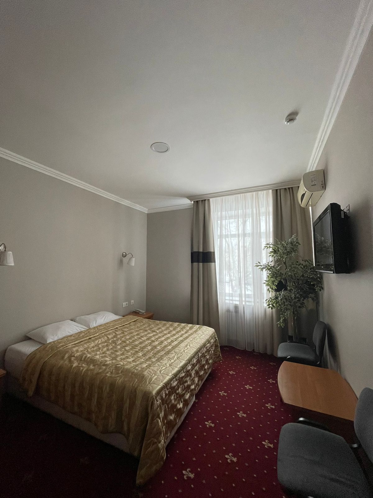 Фото Аристоль