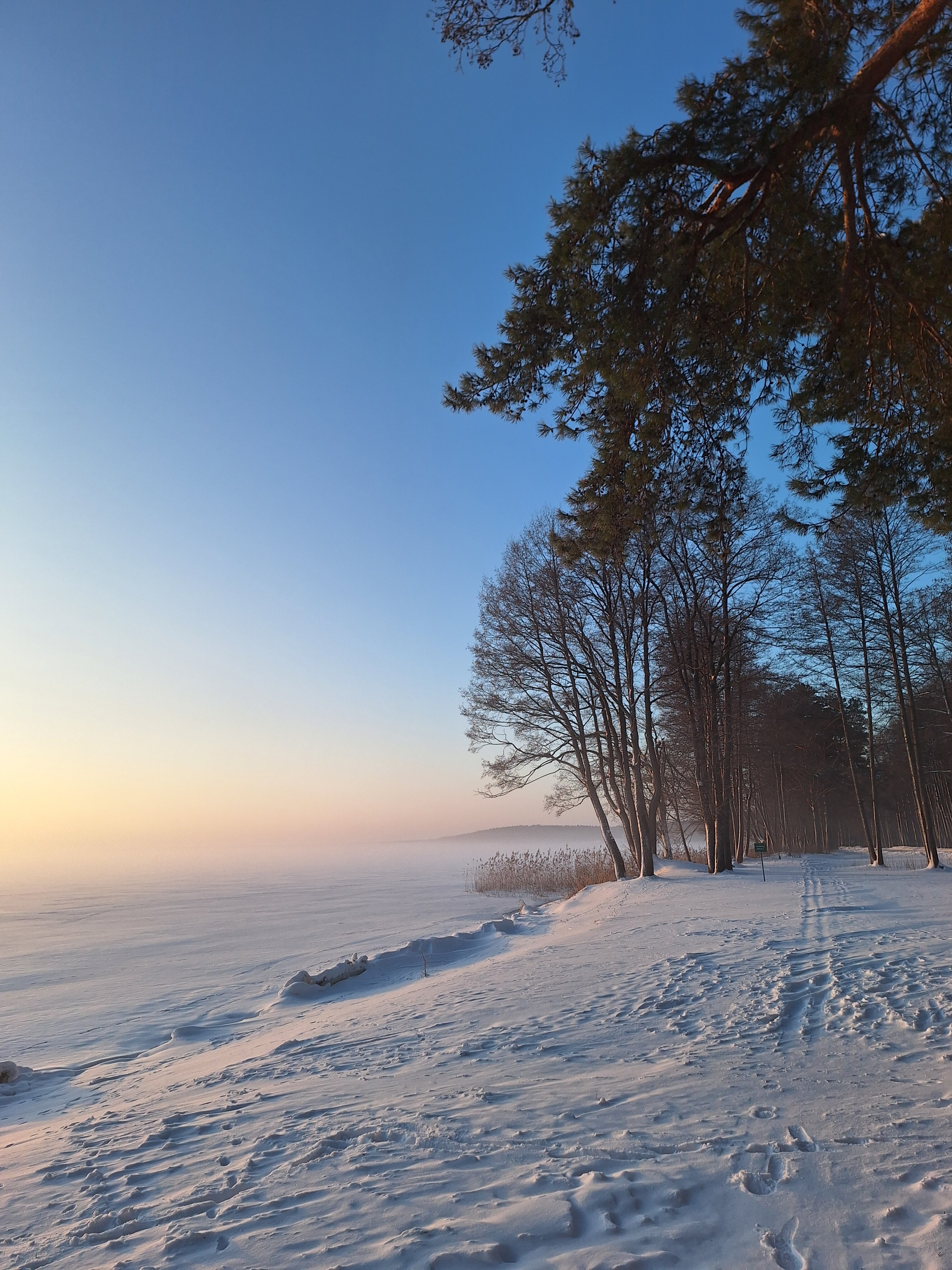 Фото Нарочанка