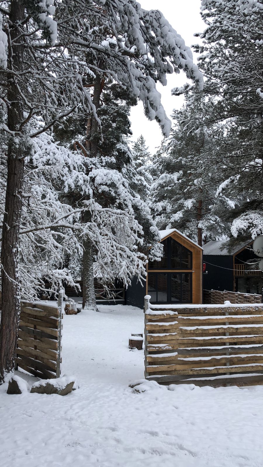 Фото Mountain House