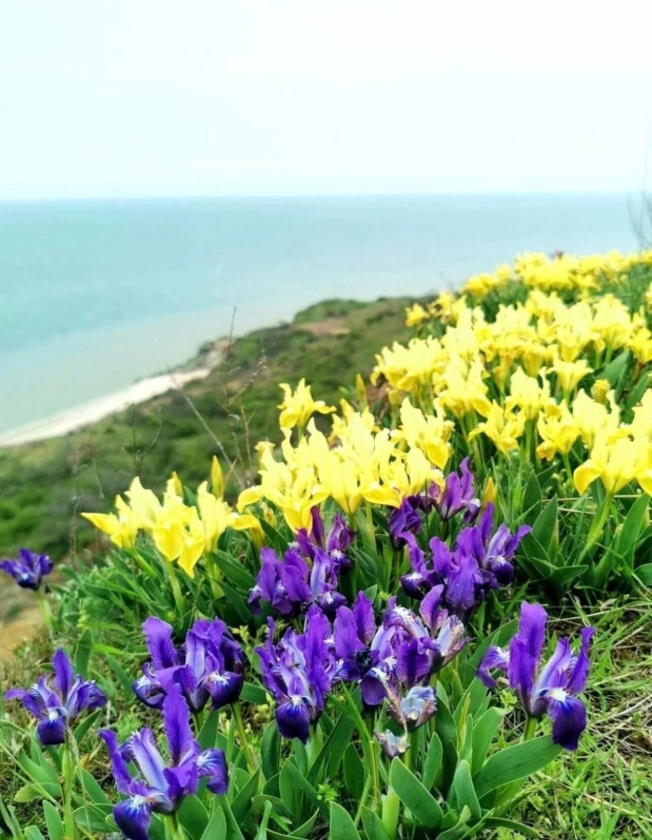 Фото Маленькая страна