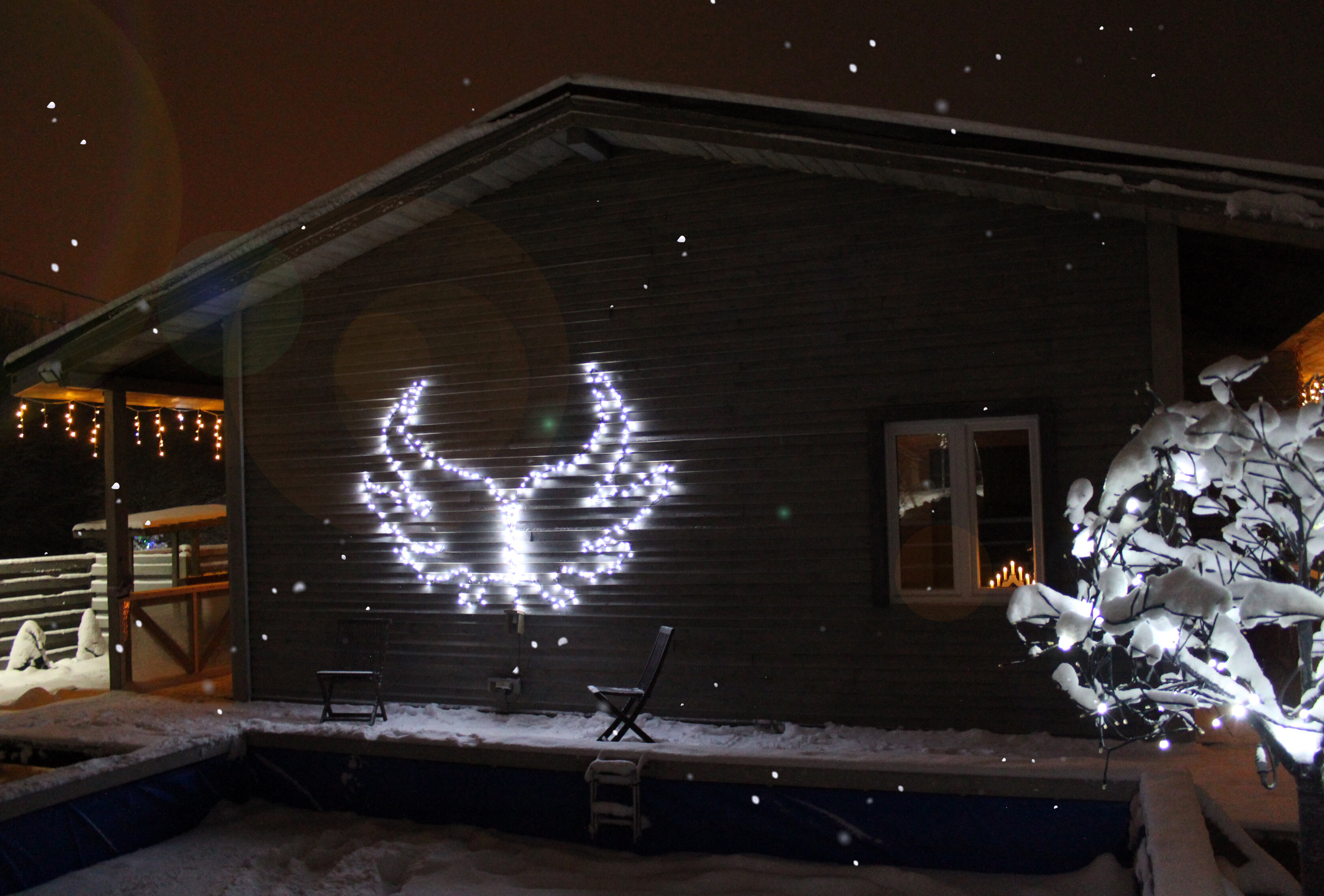 Фото Гнездо