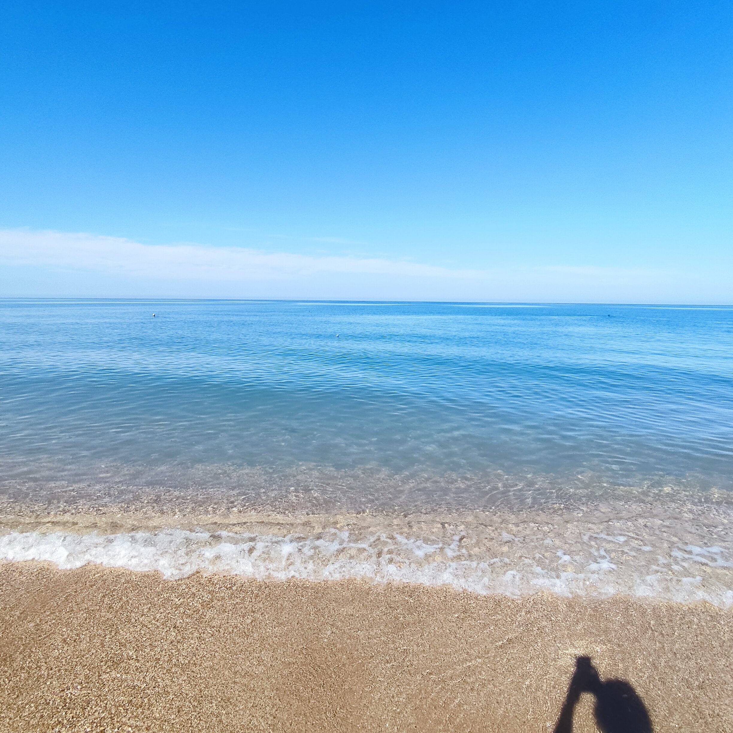 Фото Вилла Сова