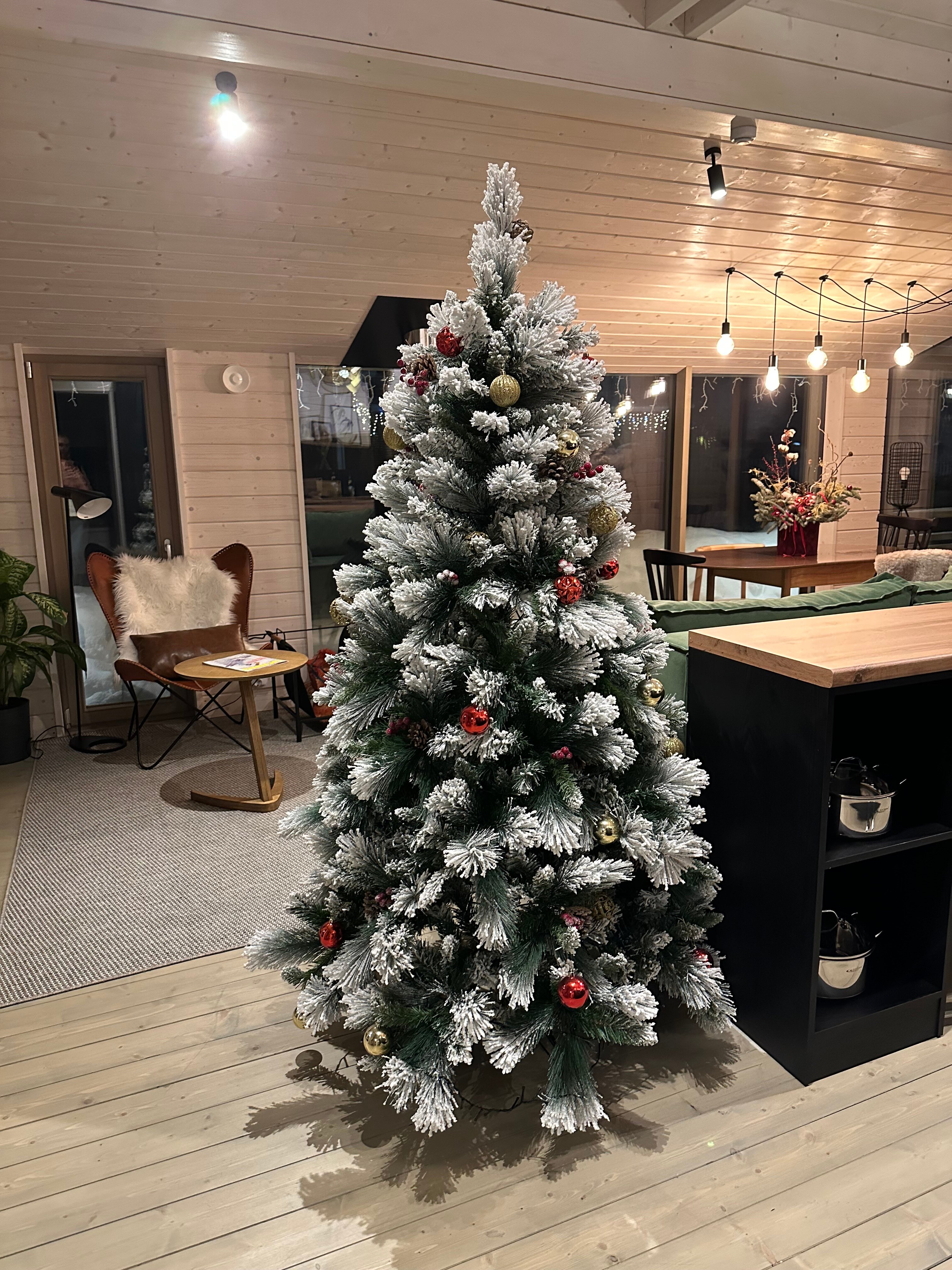 Фото Chalet De Ski