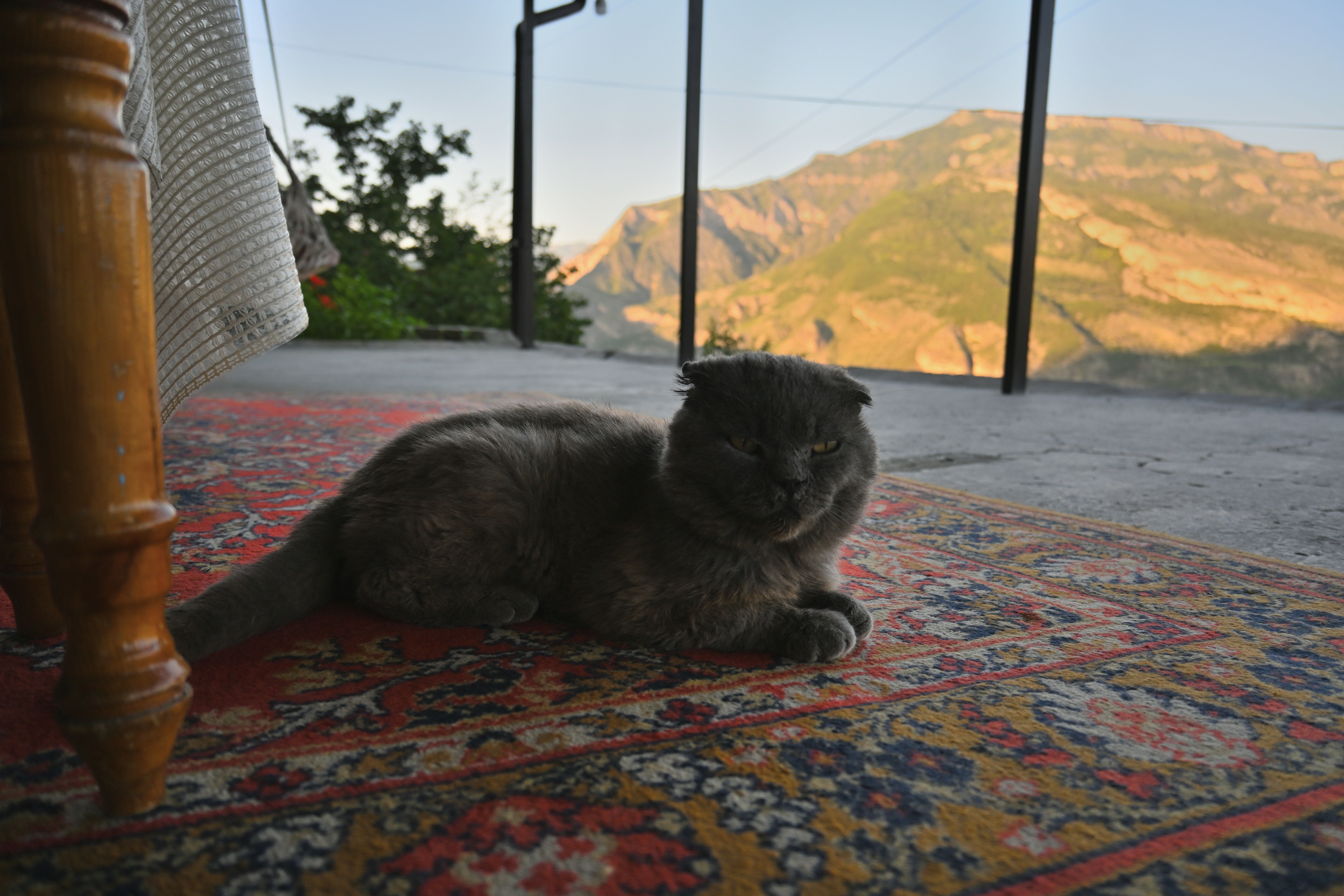 Фото Родное гнездо