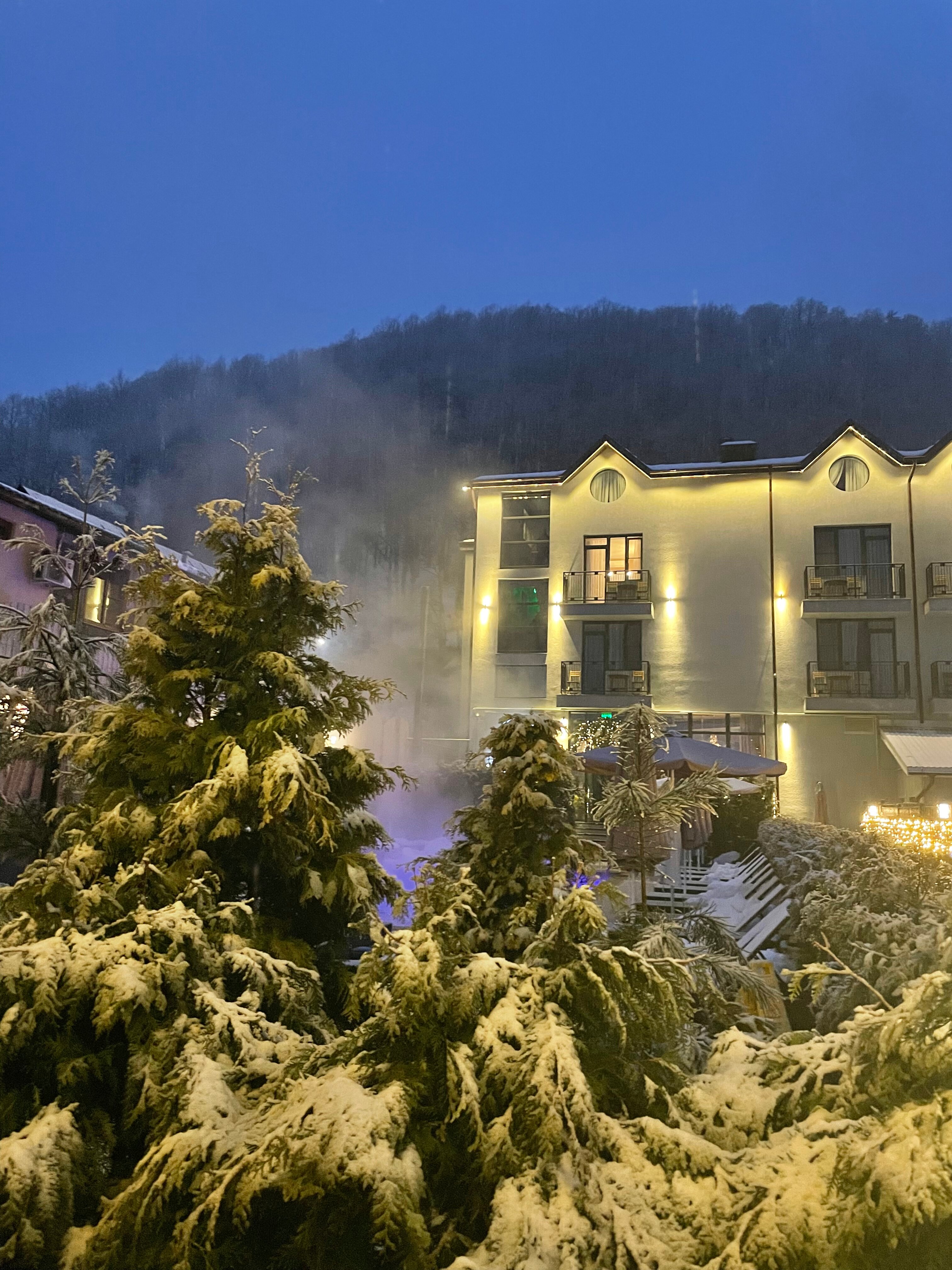 Фото Hills Polyana Hotel & SPA