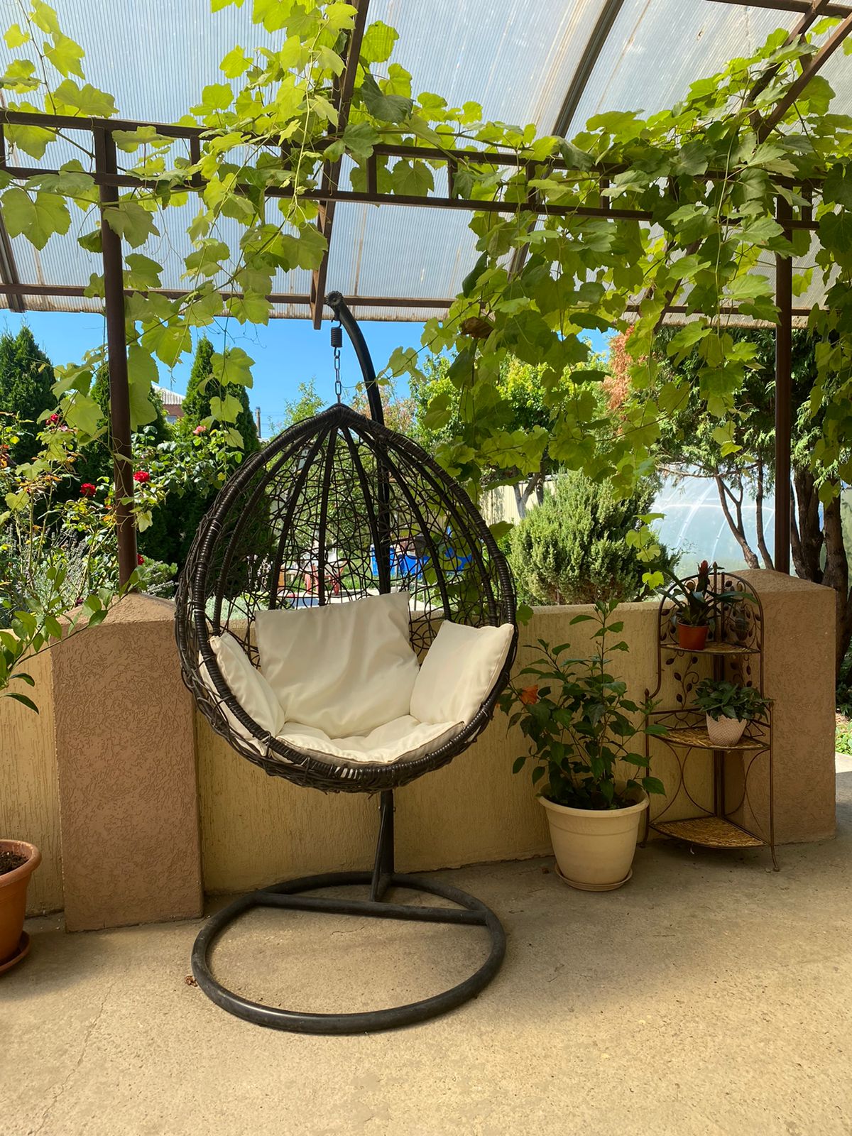 Фото Море Мур