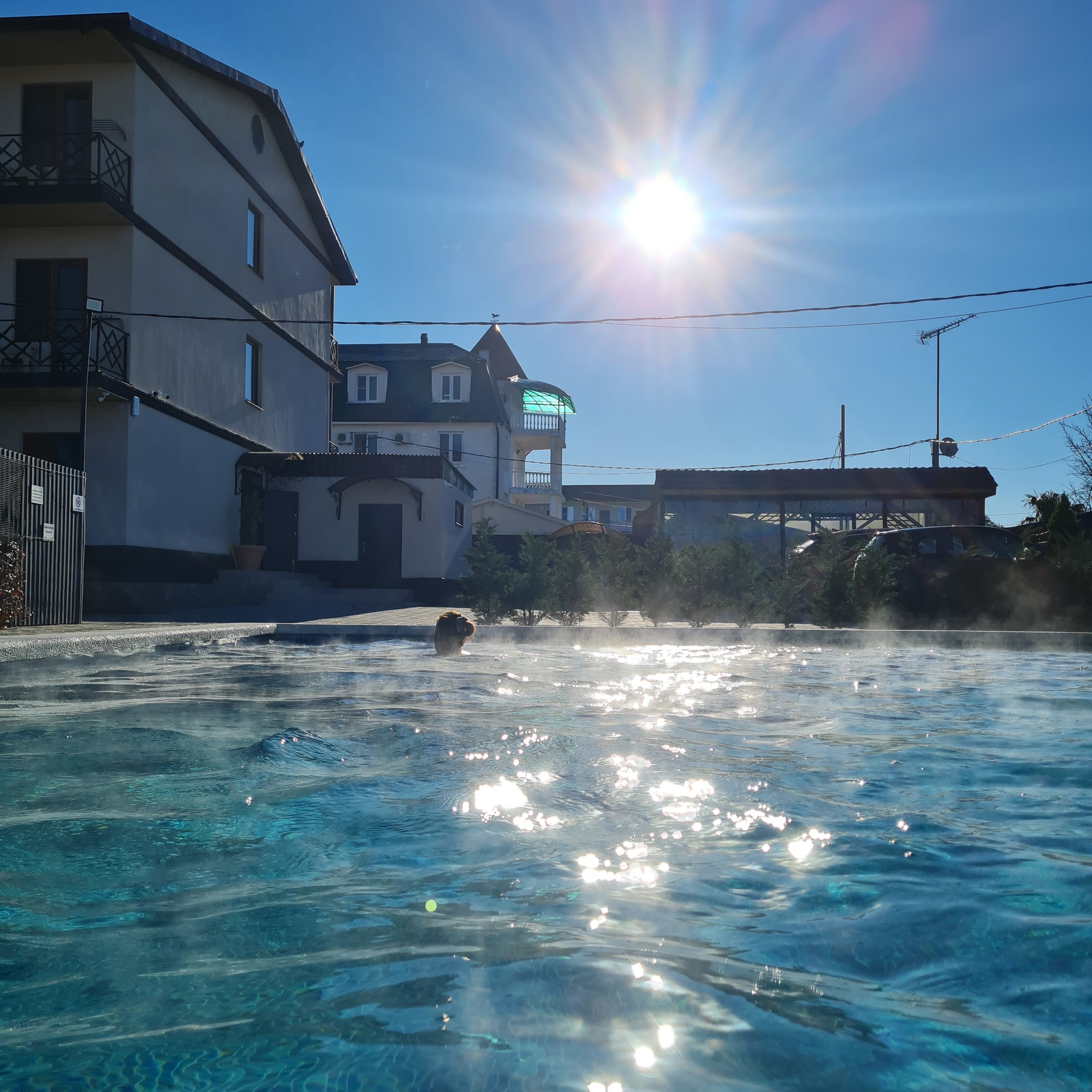 Фото Таминик