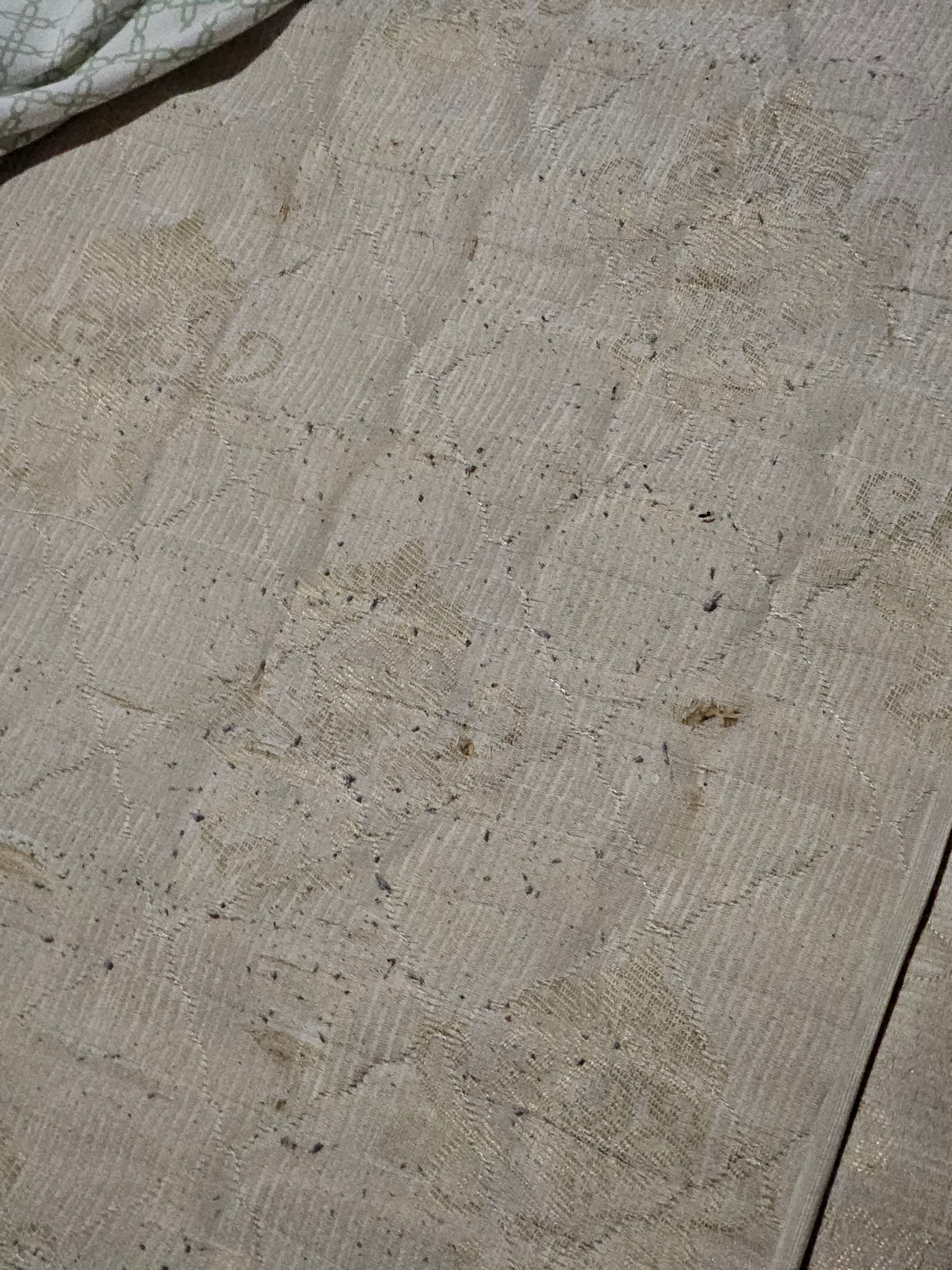 Фото Travel Inn Тимирязевская