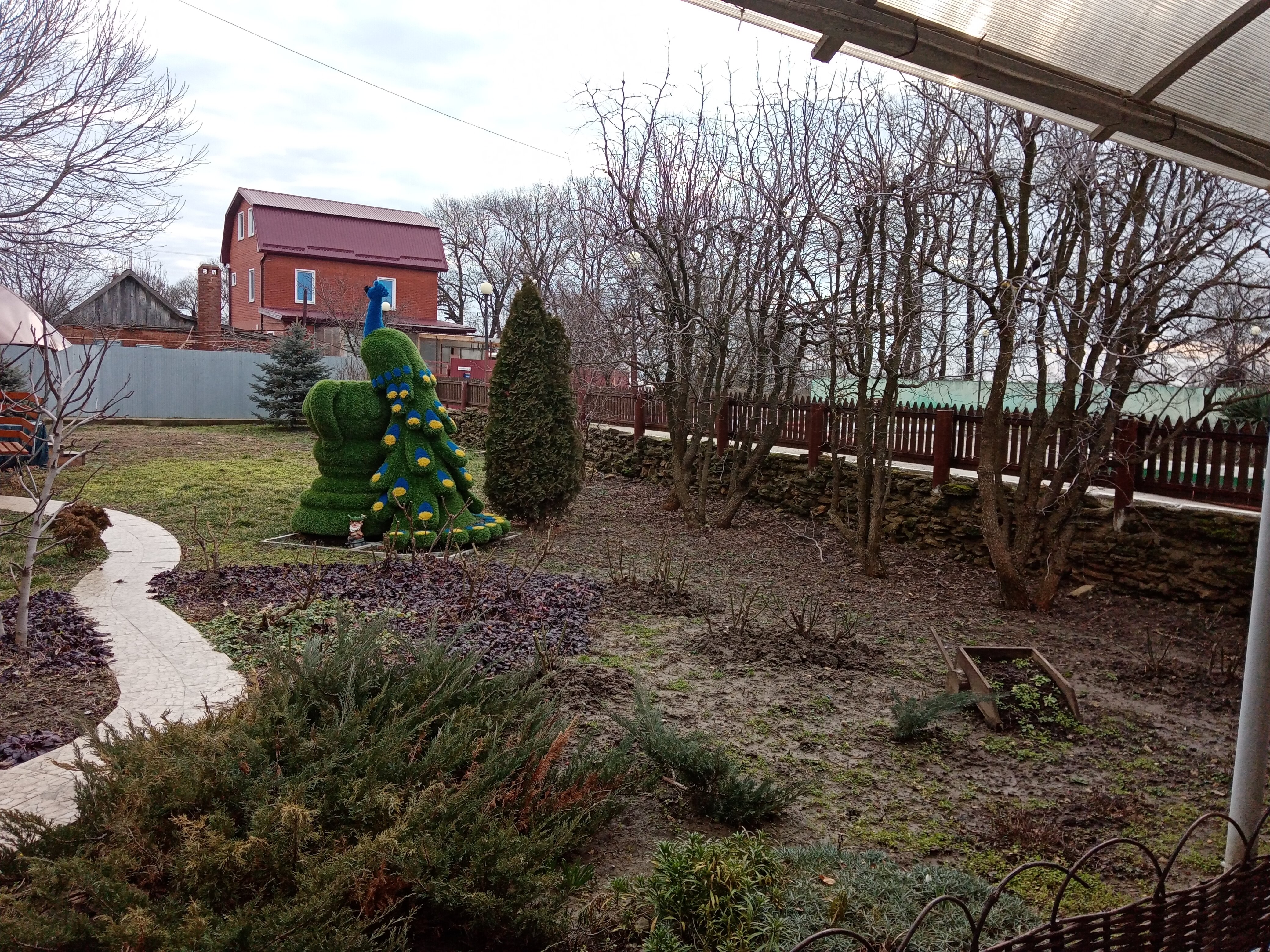 Фото Курени