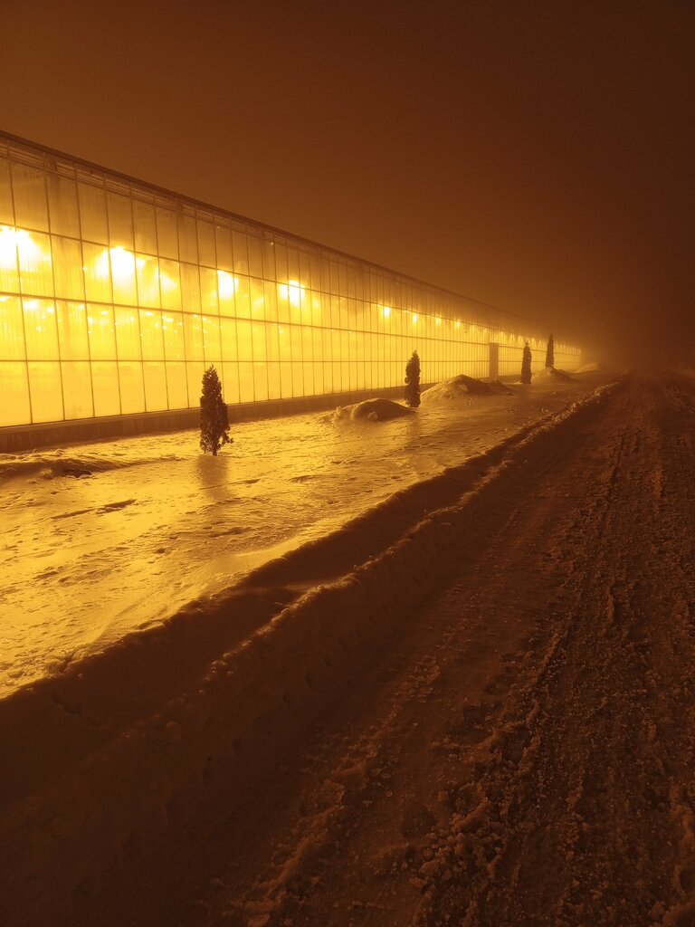 Greenhouse Новомосковские розы, Tula Oblast, photo
