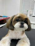 Нильс (Teplichnaya Street, 2), pet salon