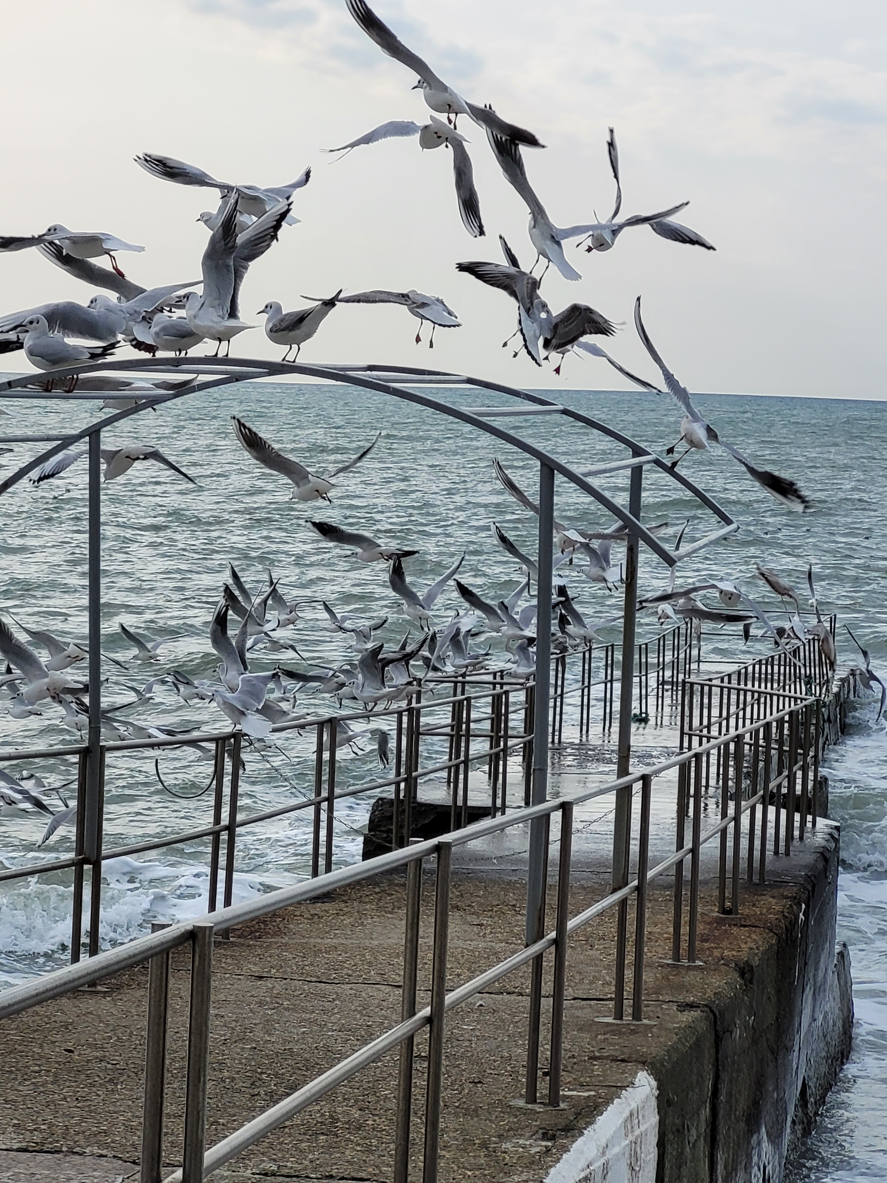 Фото Санаторий имени М. В. Фрунзе
