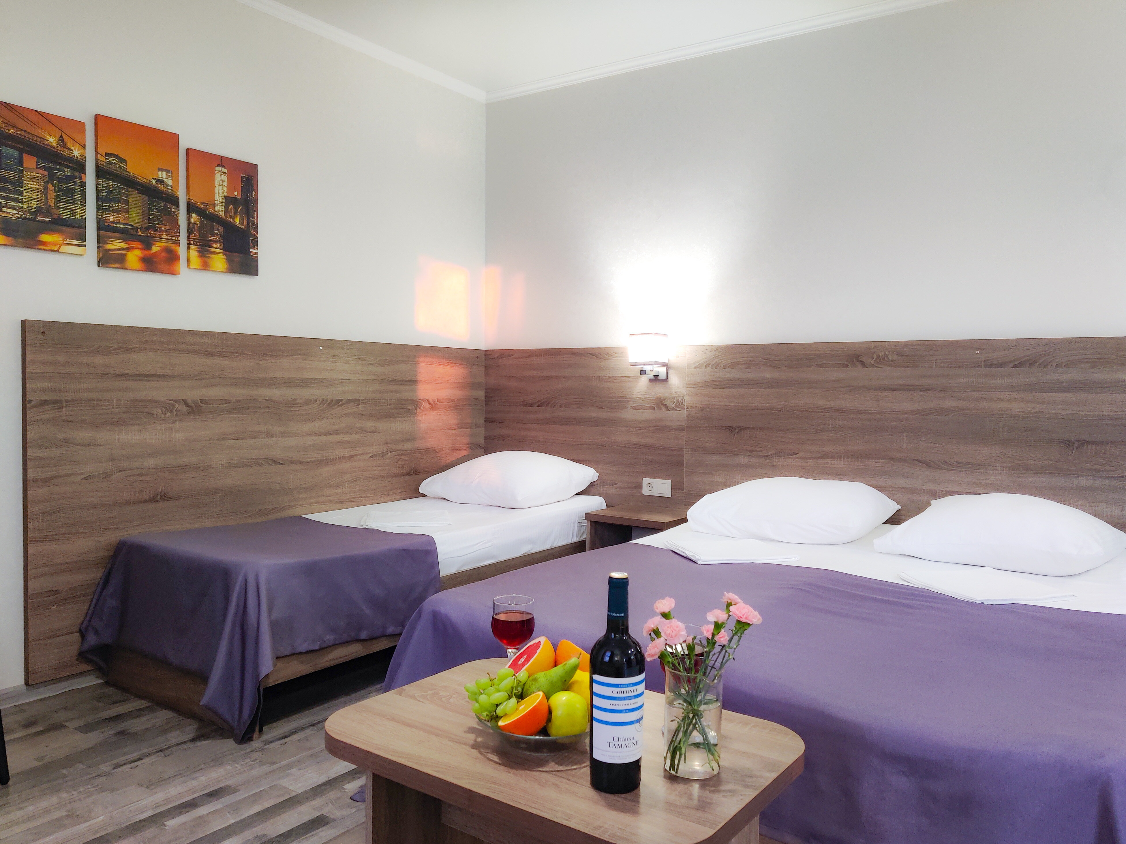 Фото Камелия