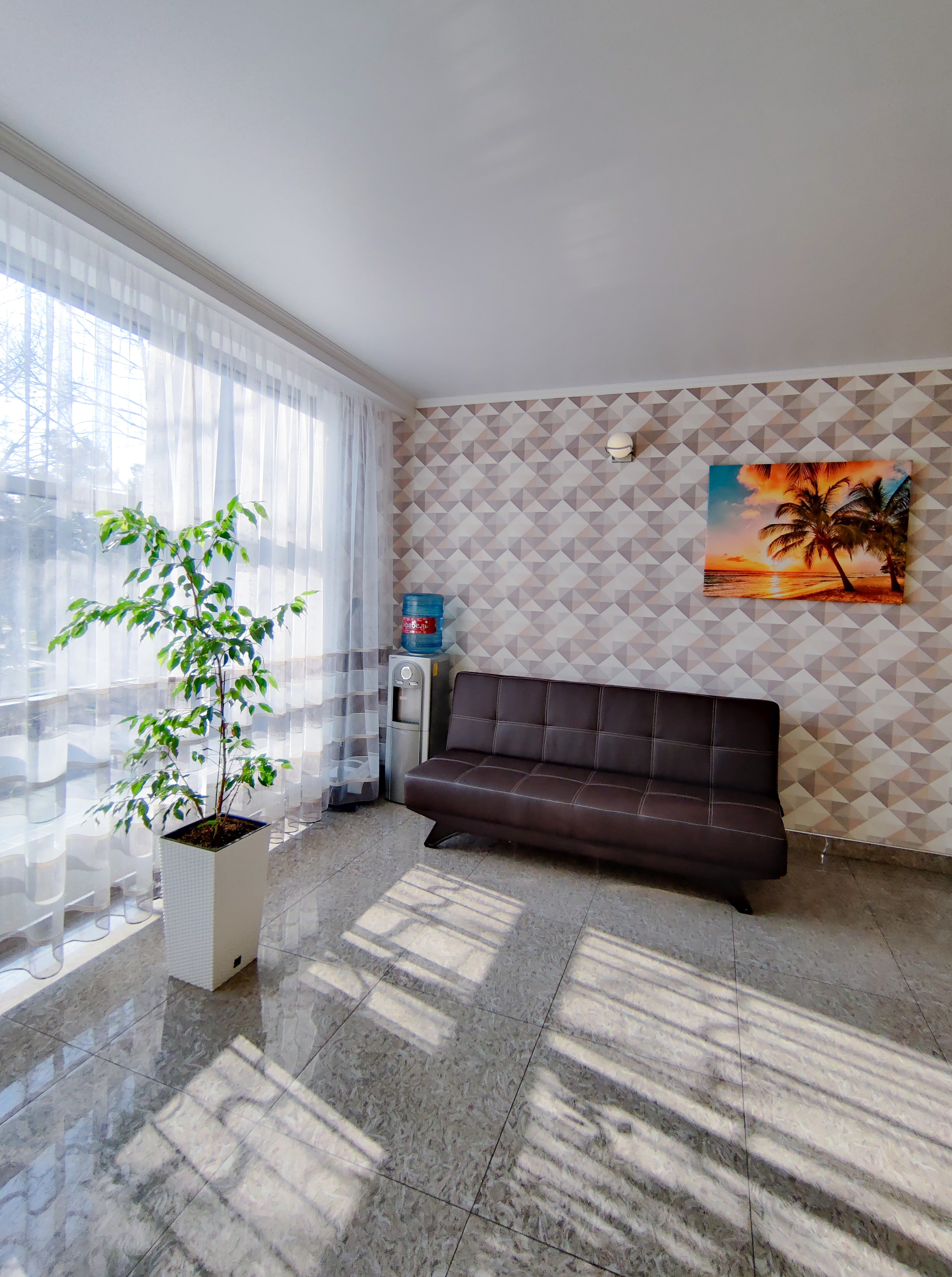 Фото Камелия