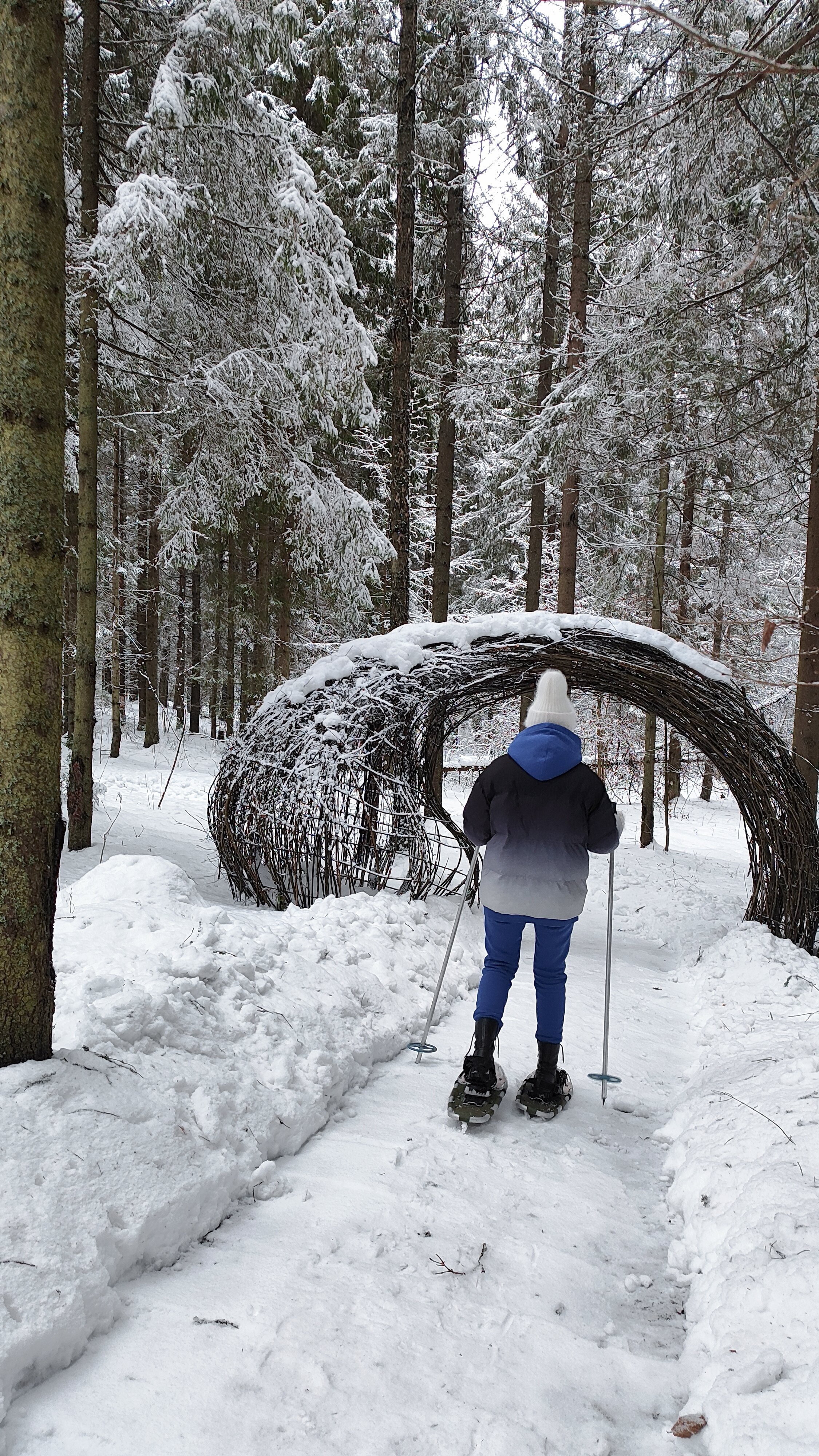 Фото Домики Иволги