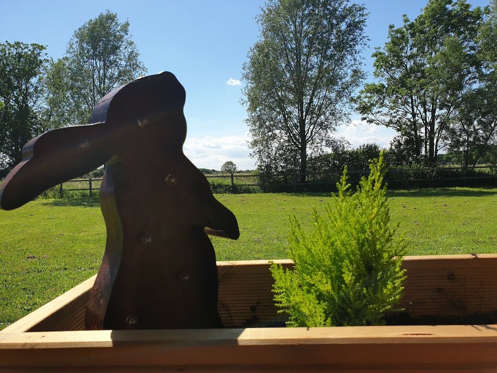 Фото Wingfield Escapes