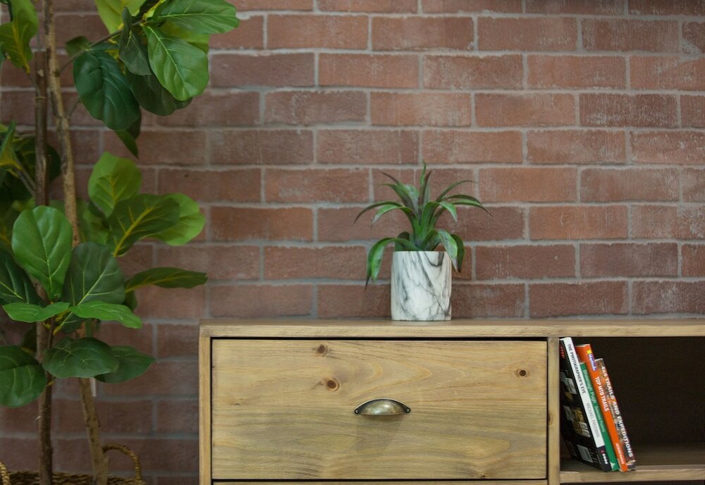 Фото The Living Collective