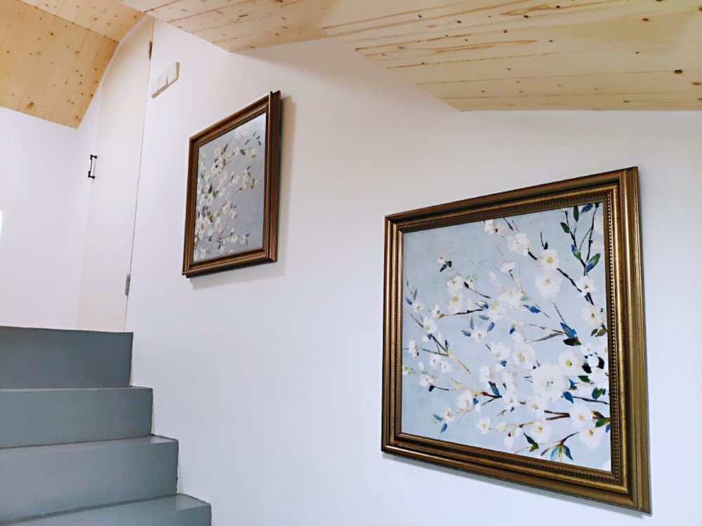 Фото Csdy Guesthouse