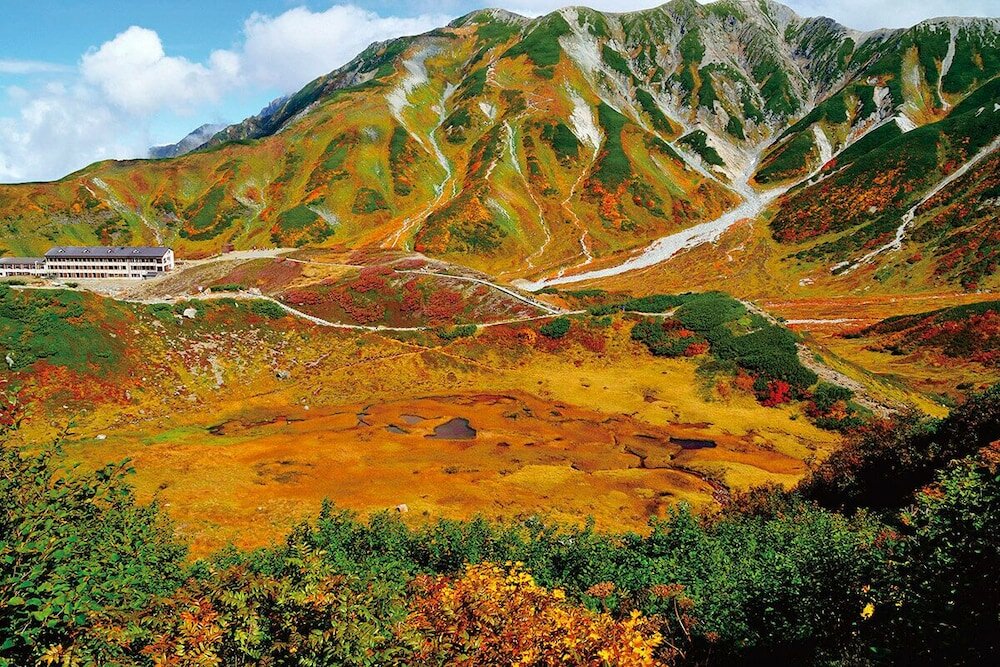 Фото Kongoji Syukubo Seihoin