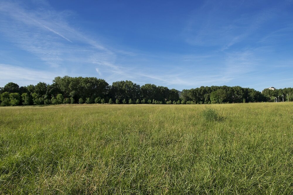 Фото Alma Pamplona
