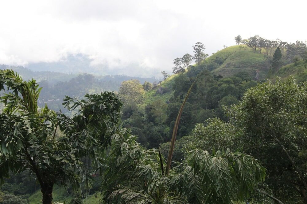 Фото Rockvila Guest House